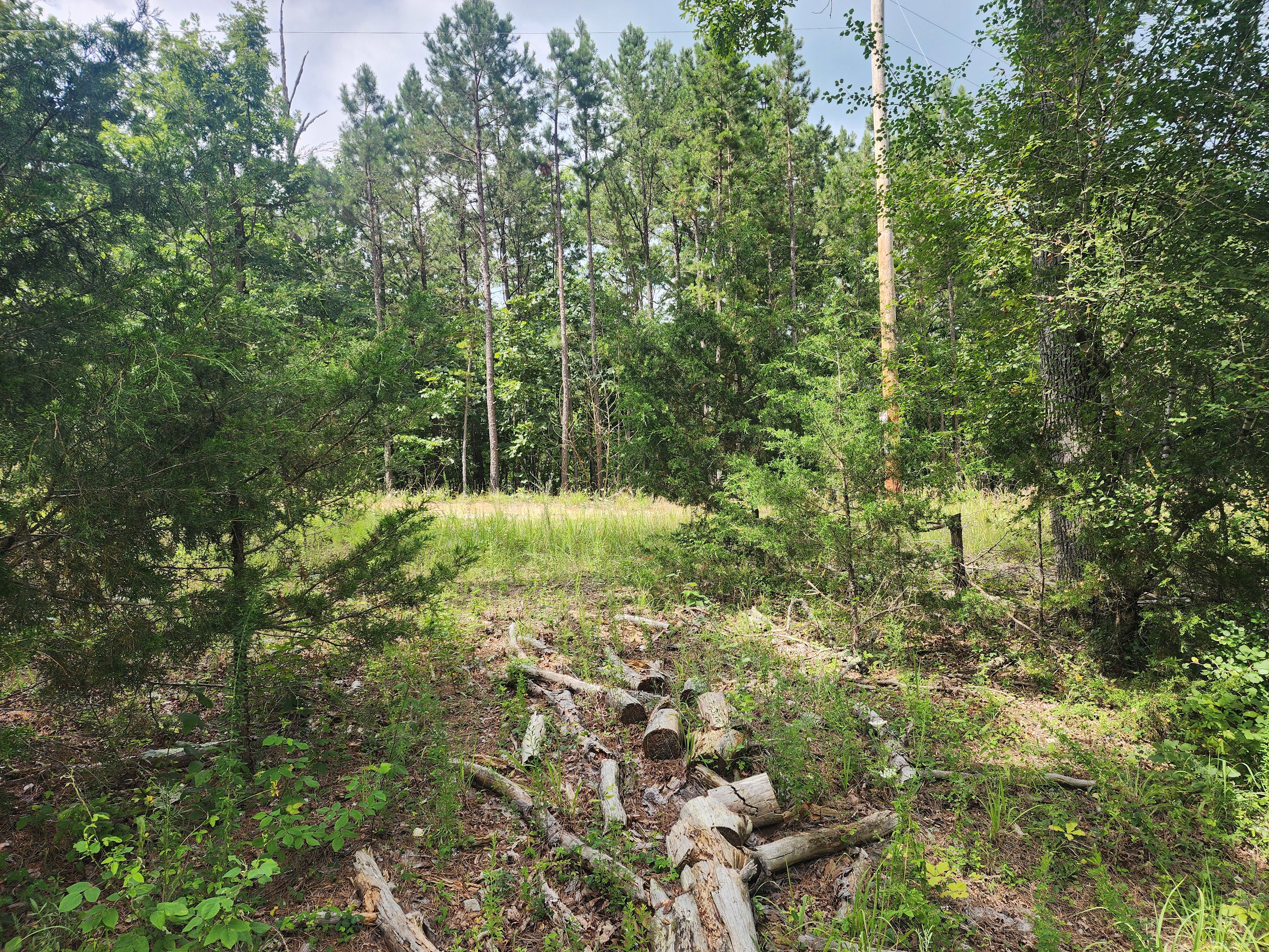 Dotson acres