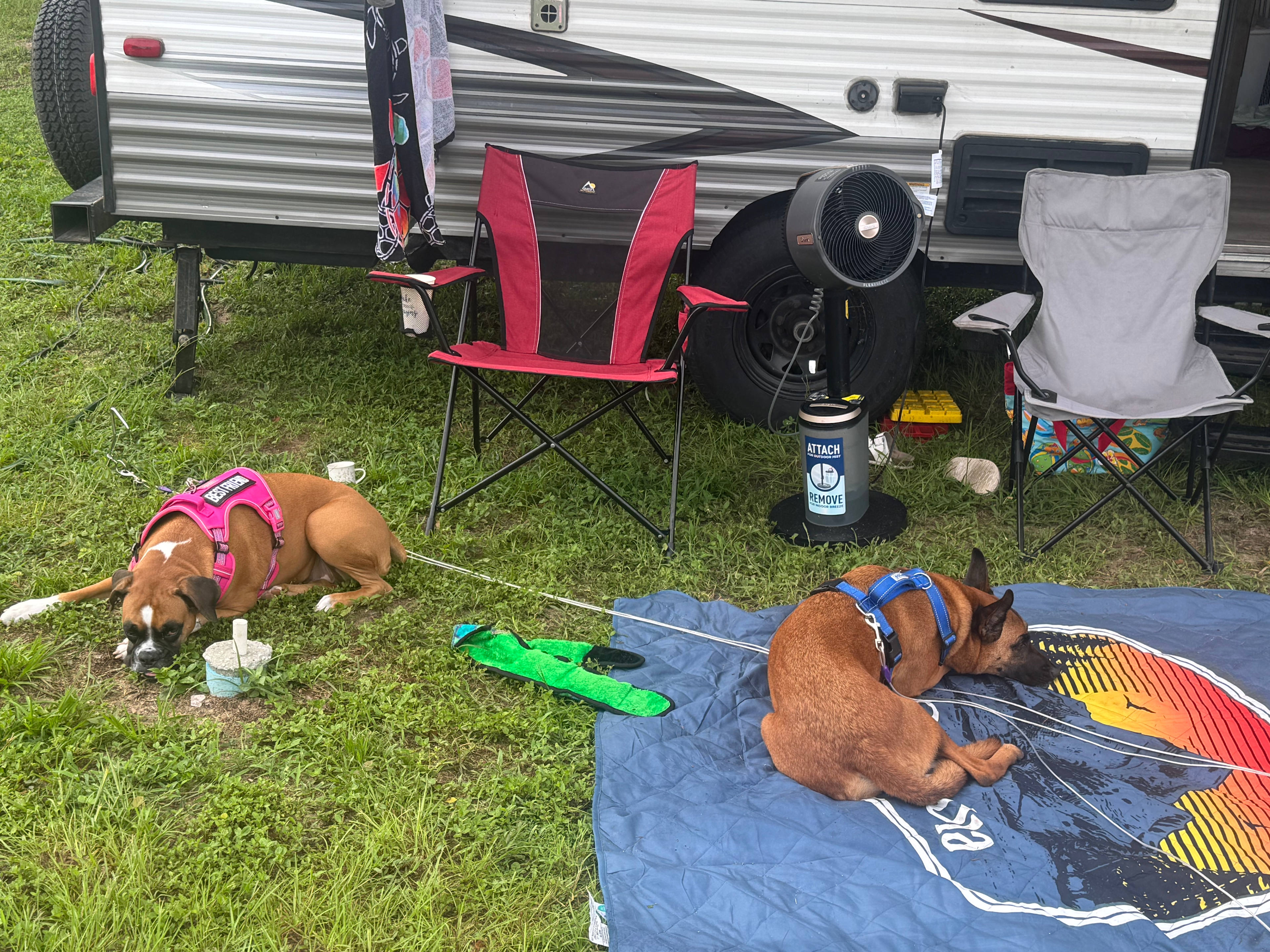 Ocala Forest ATV Basecamp