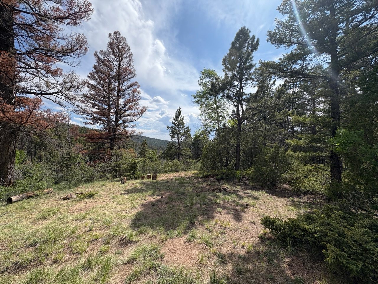 Sangre De Cristo Farm