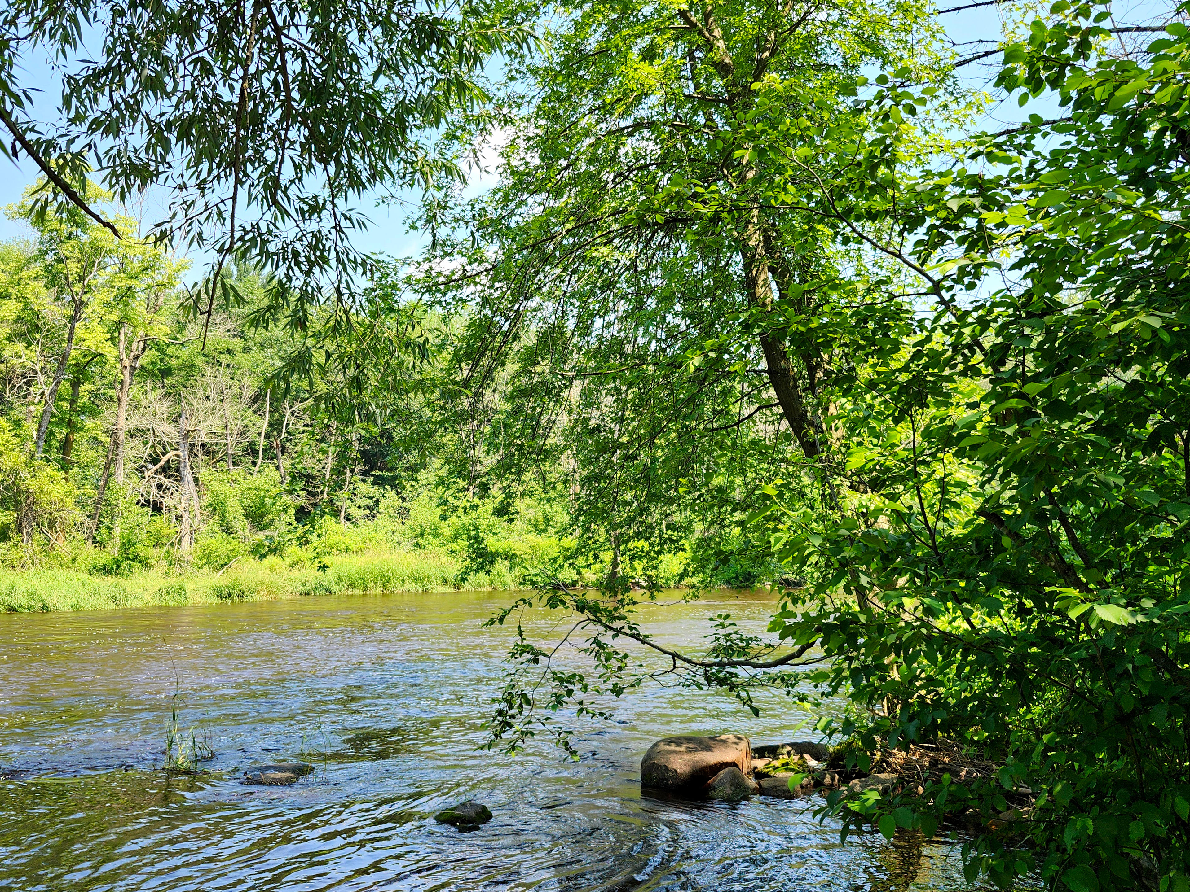 Old Red Mill Oasis