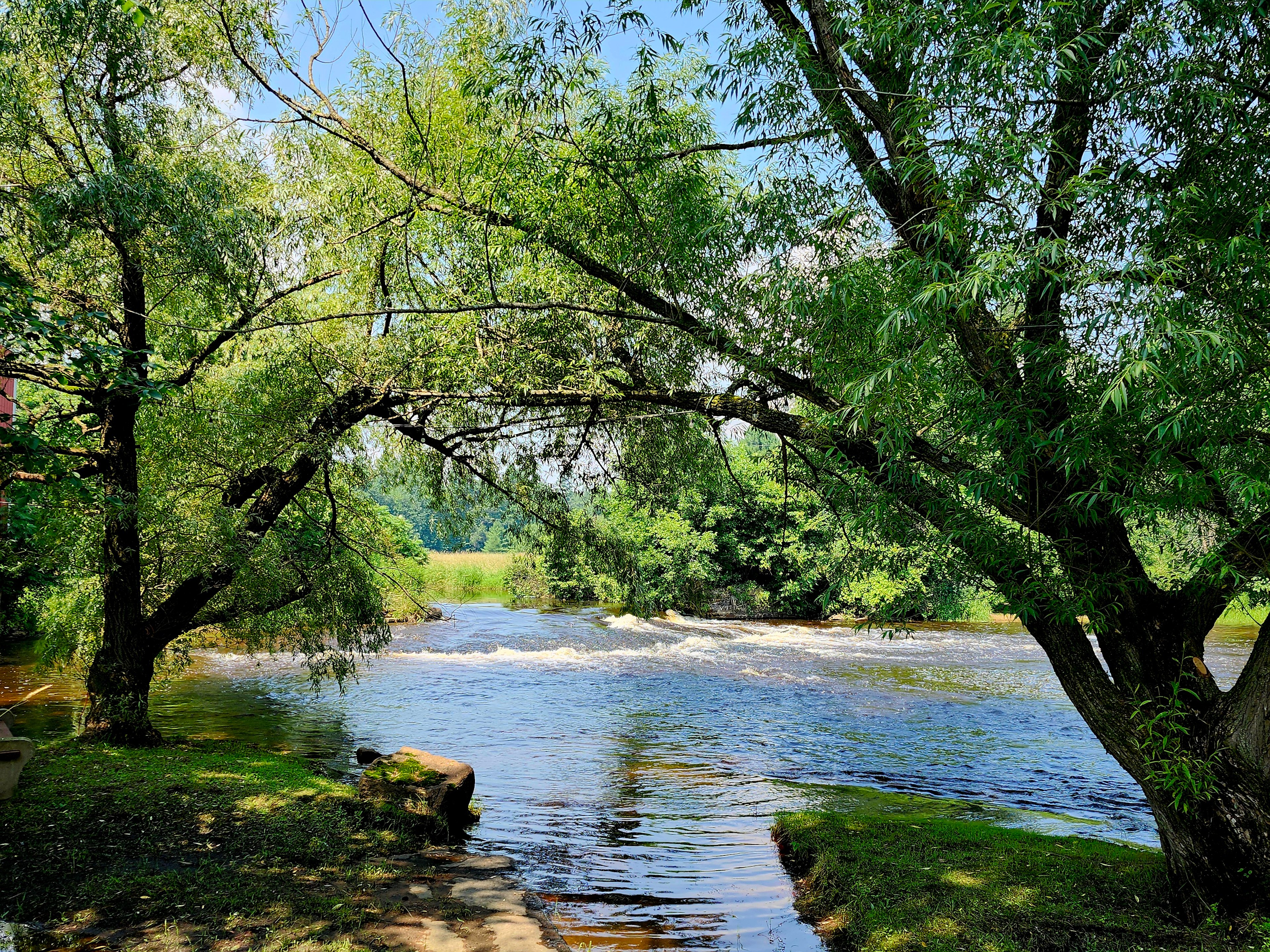Old Red Mill Oasis