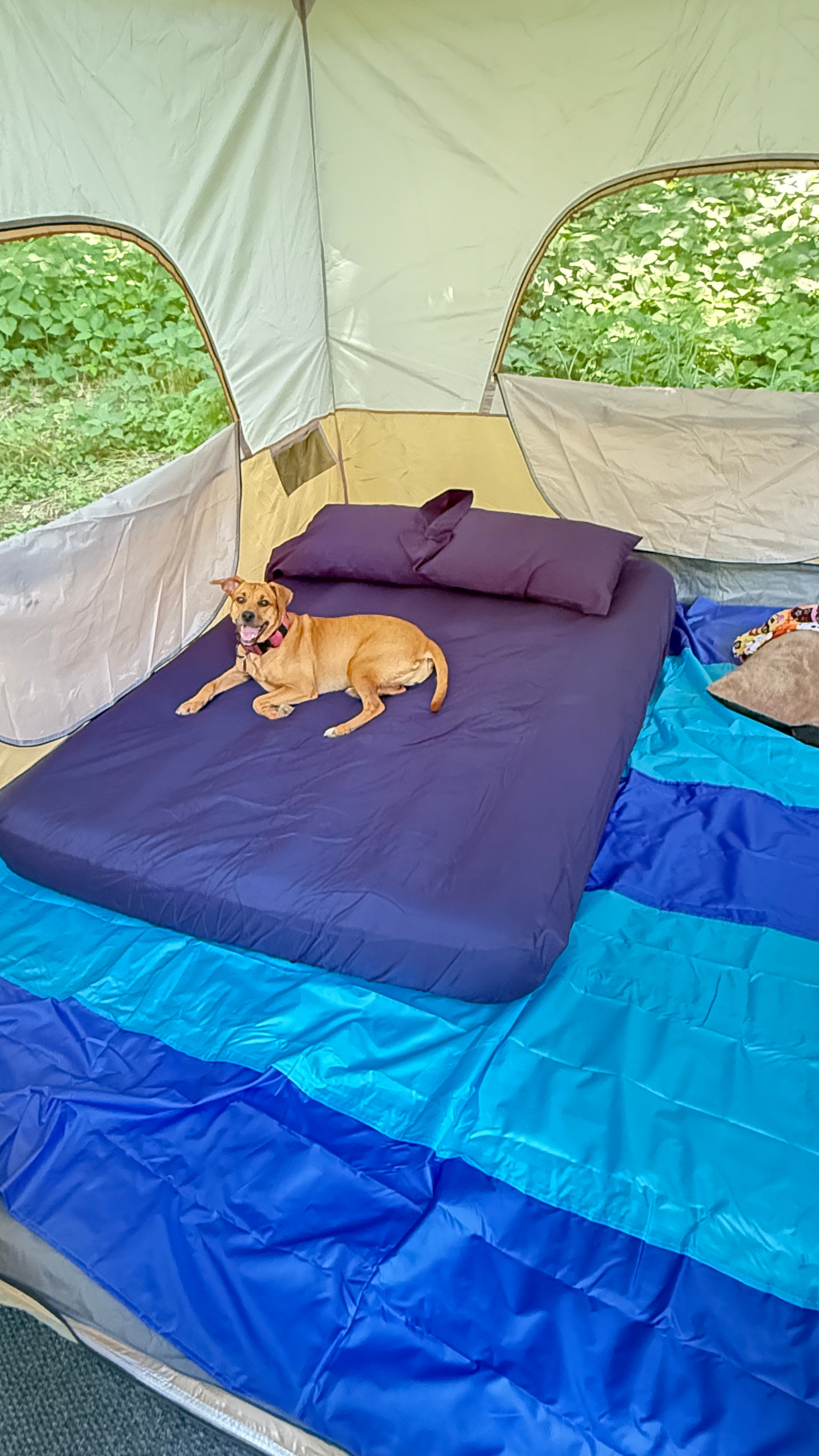 Howlin Hill Campground