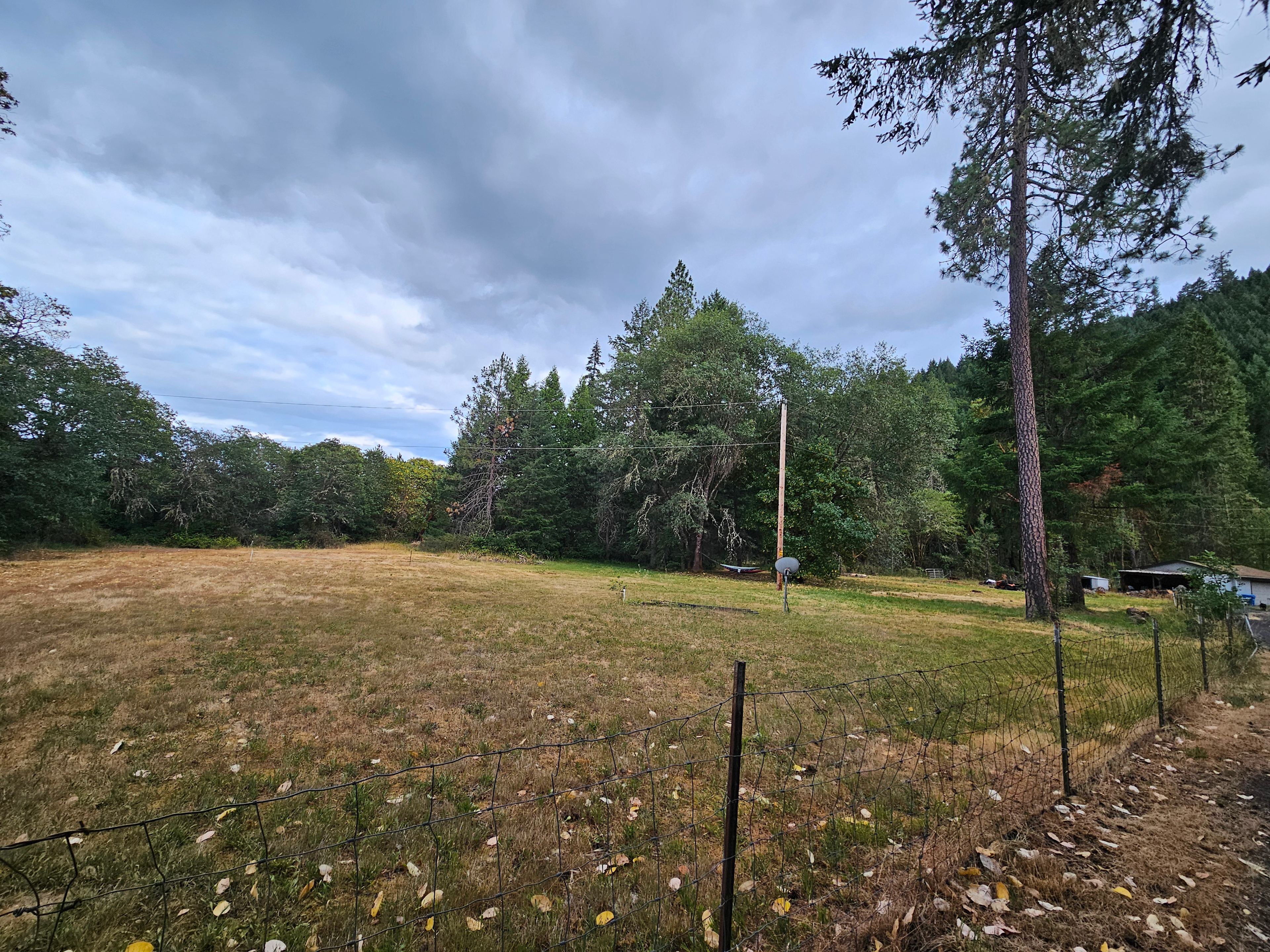 Large pasture perfect for tent camping and dogs