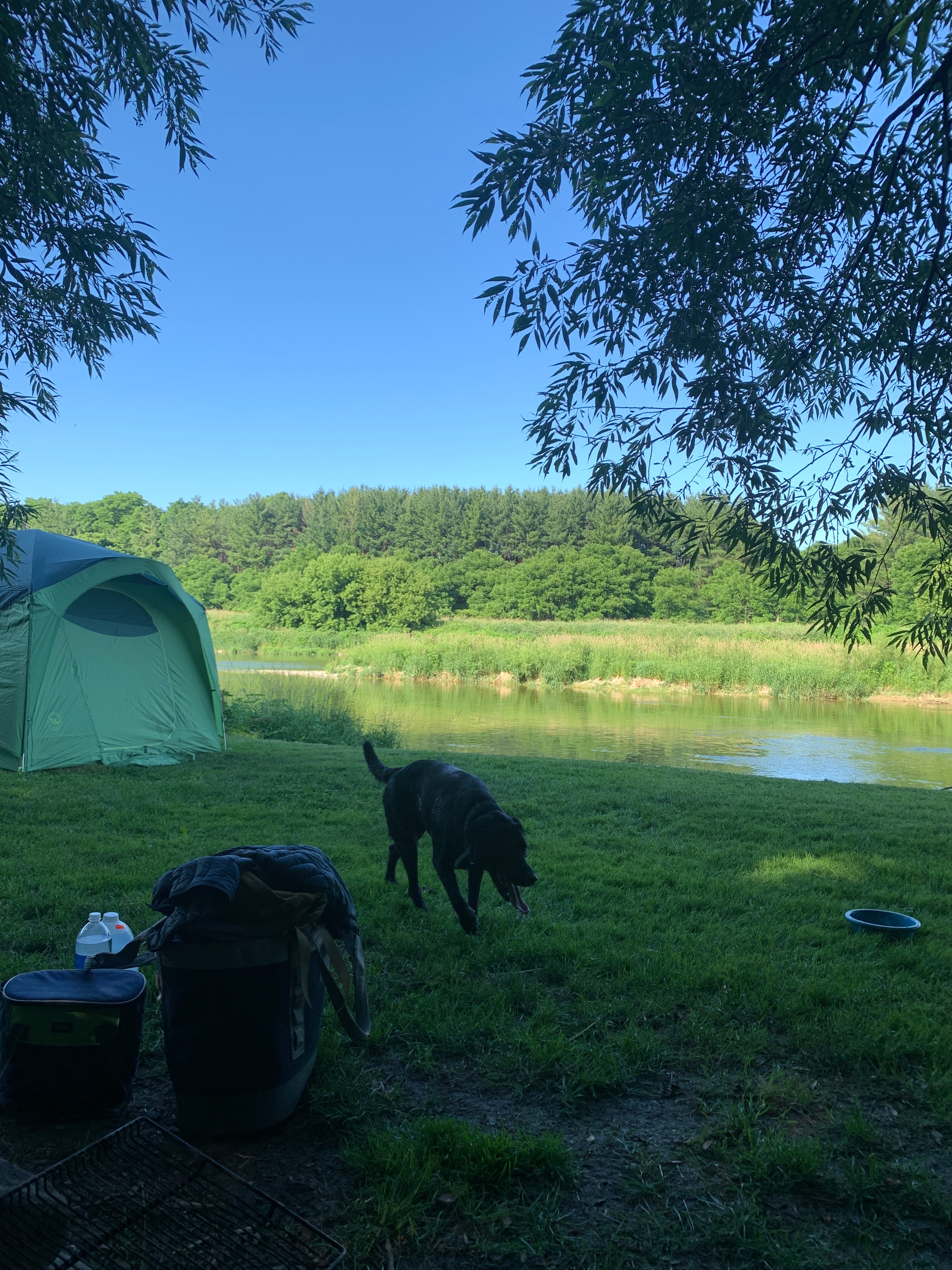 Monarch Meadows Tree Farm