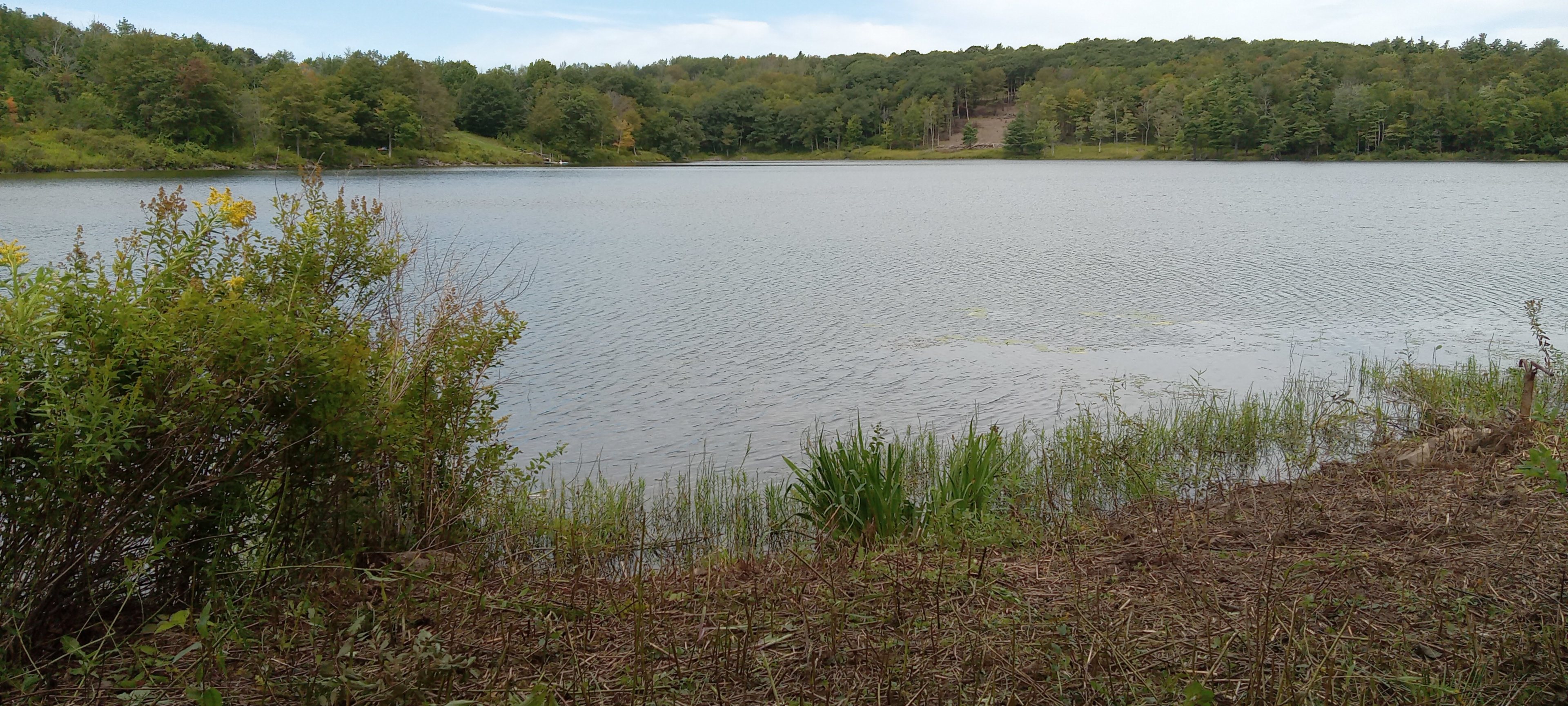 Triangle Lake Campsite