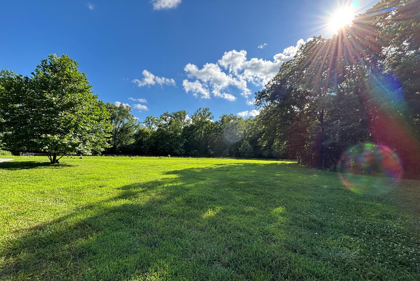 Open fields and quiet countryside at our 20-acre elderberry farm near Smithville Lake