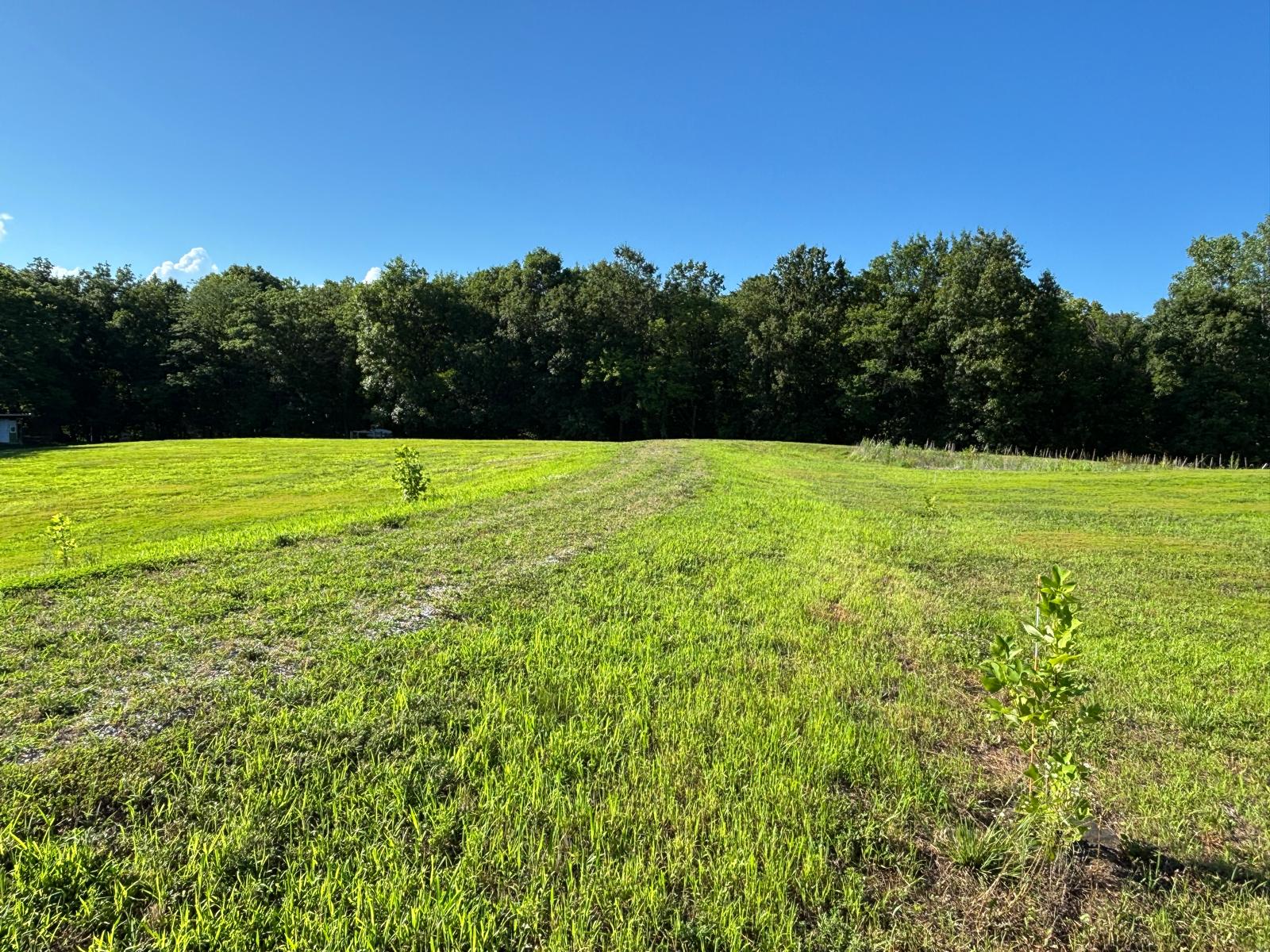 Open fields offer wide-open space and a true rural landscape surrounded by forest.