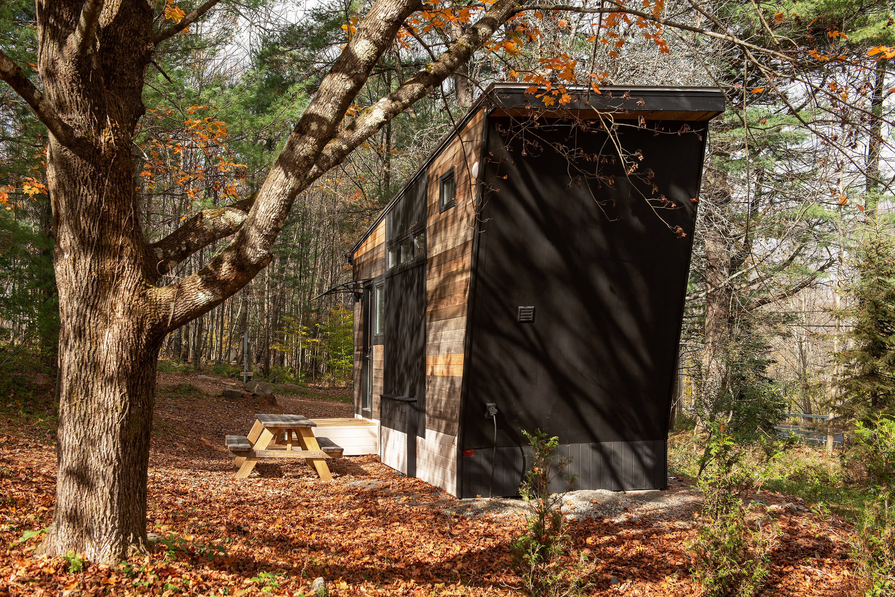 The Outlier Inn