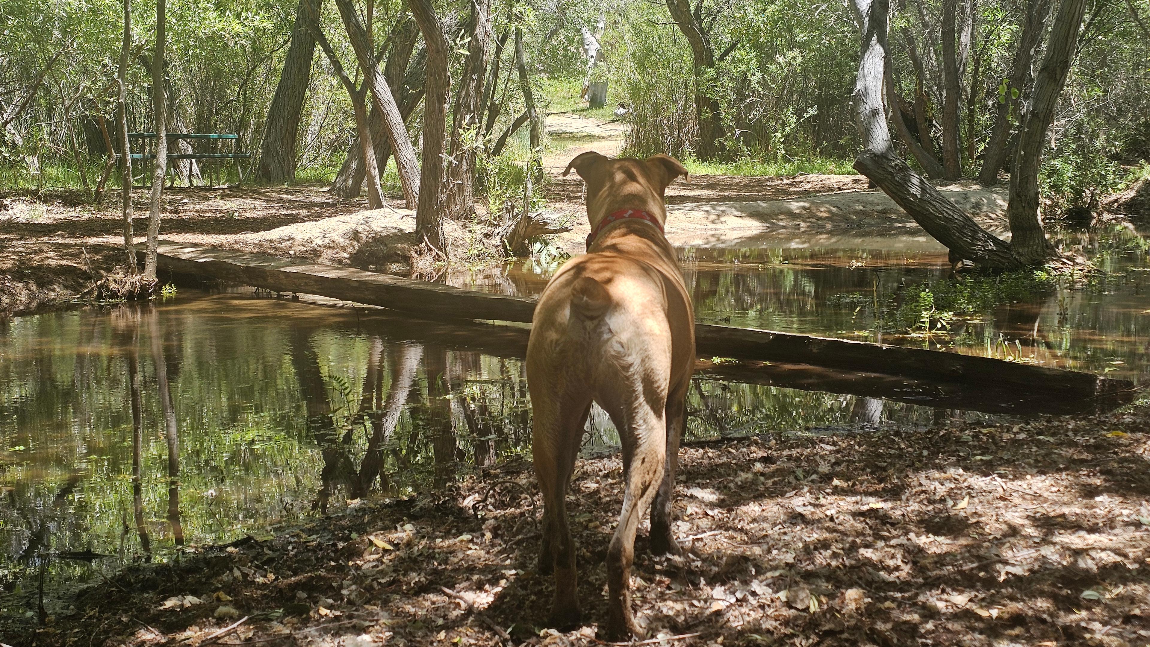Silver Spur Ranch