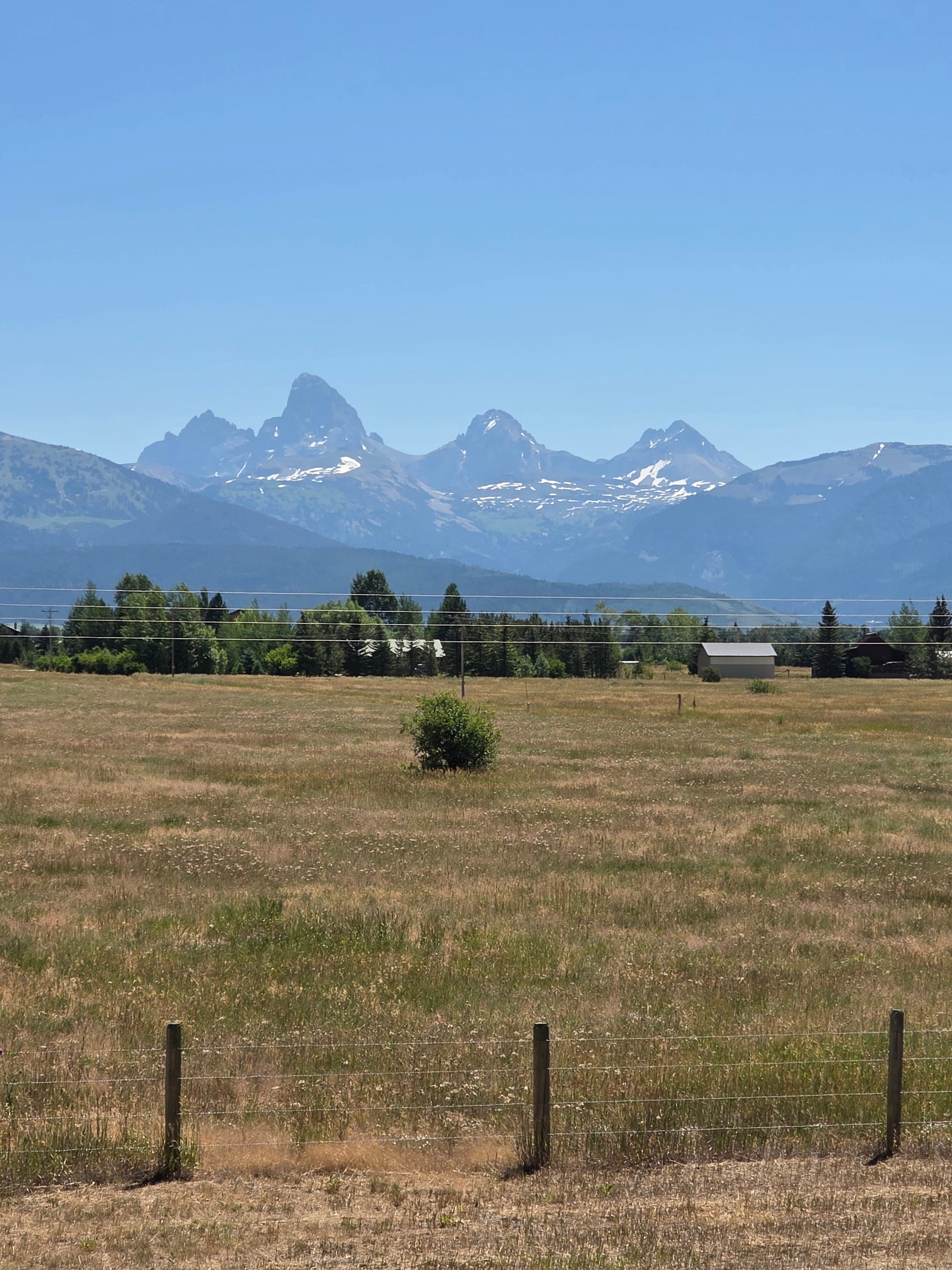 Tetonia Tetons
