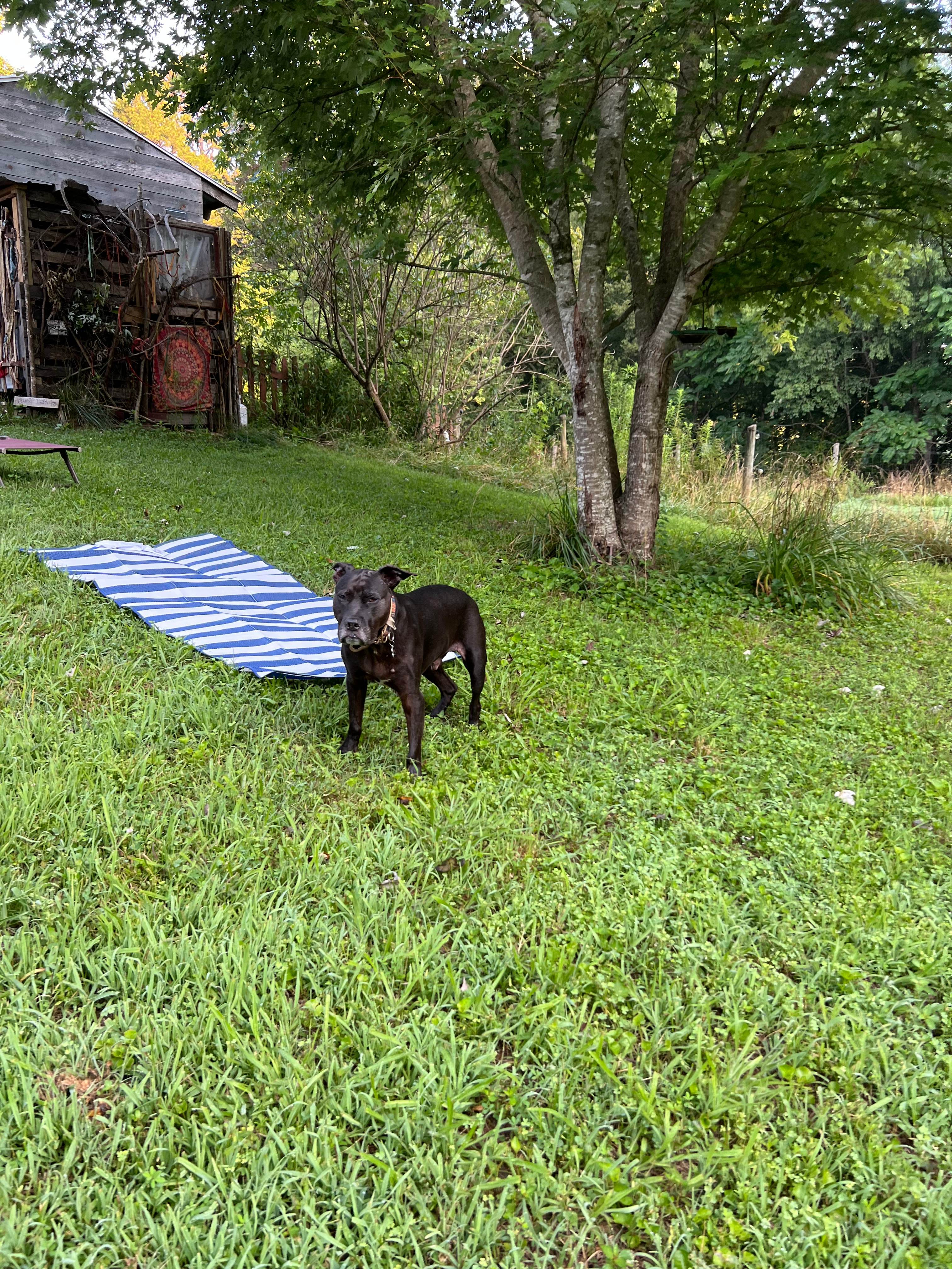 Halfassery Farm’s Sweet Suite