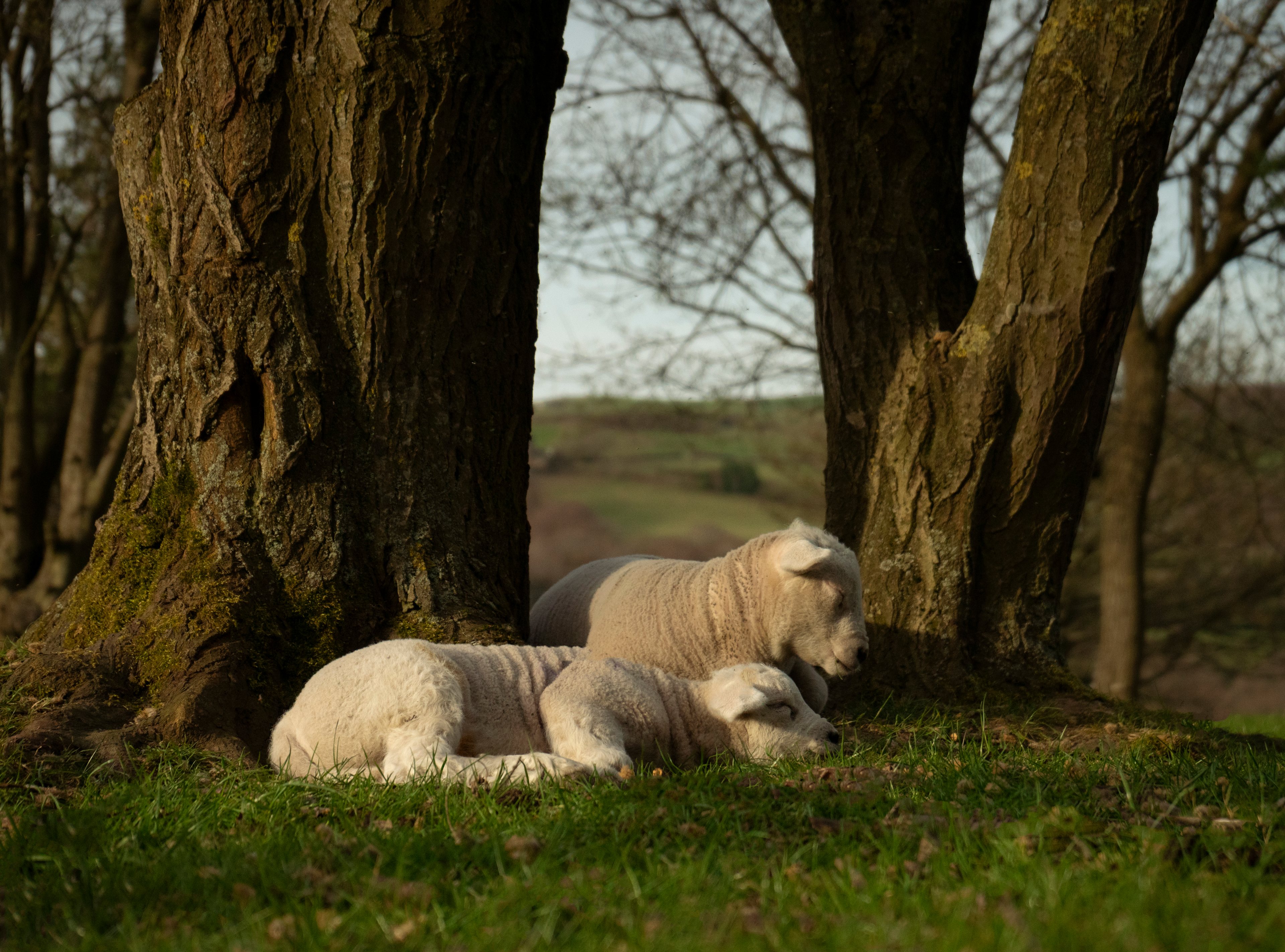 Lop Farm , The Old Waterworks