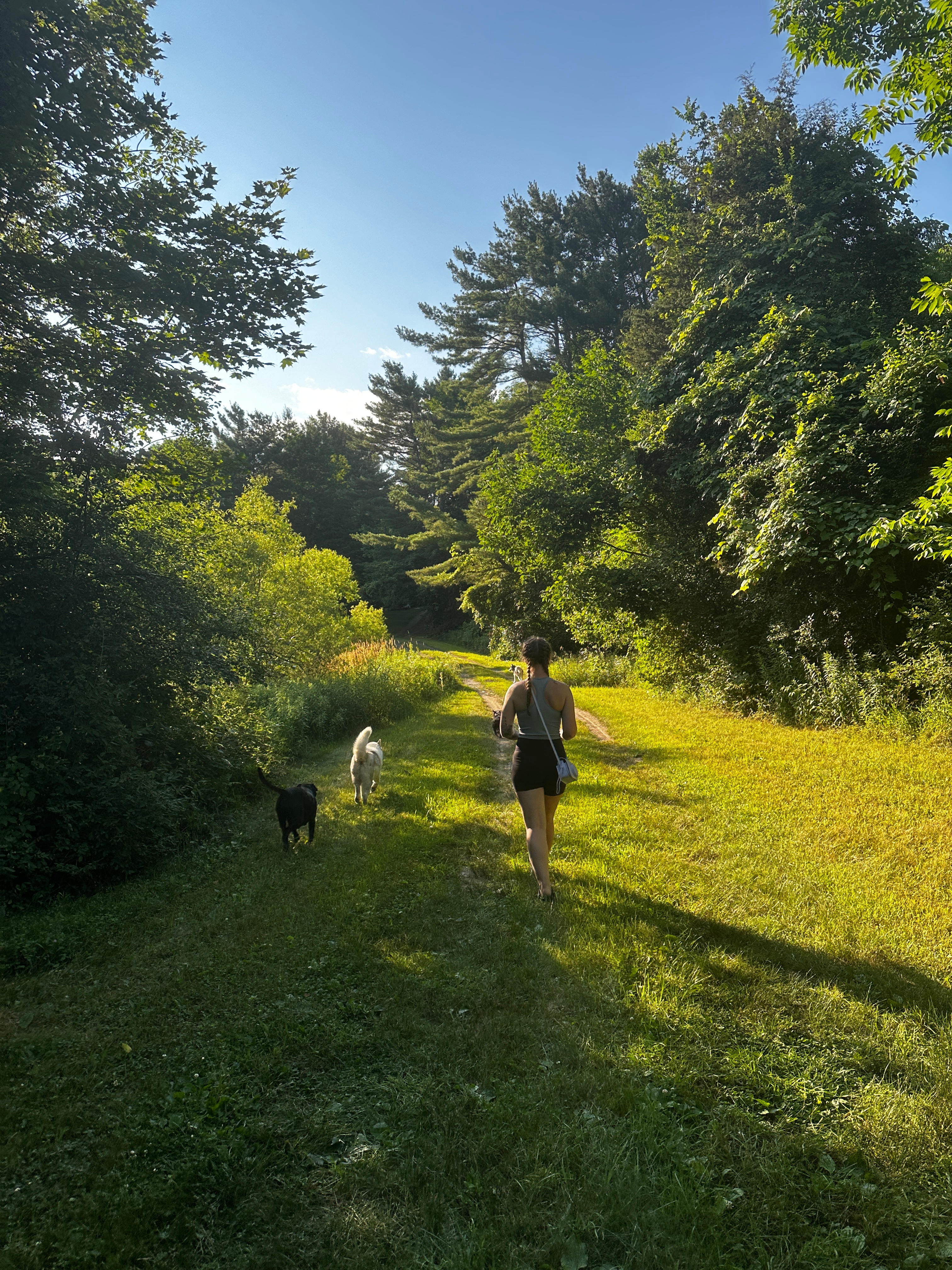 Wilderness Pond Cabin :Off-the-grid