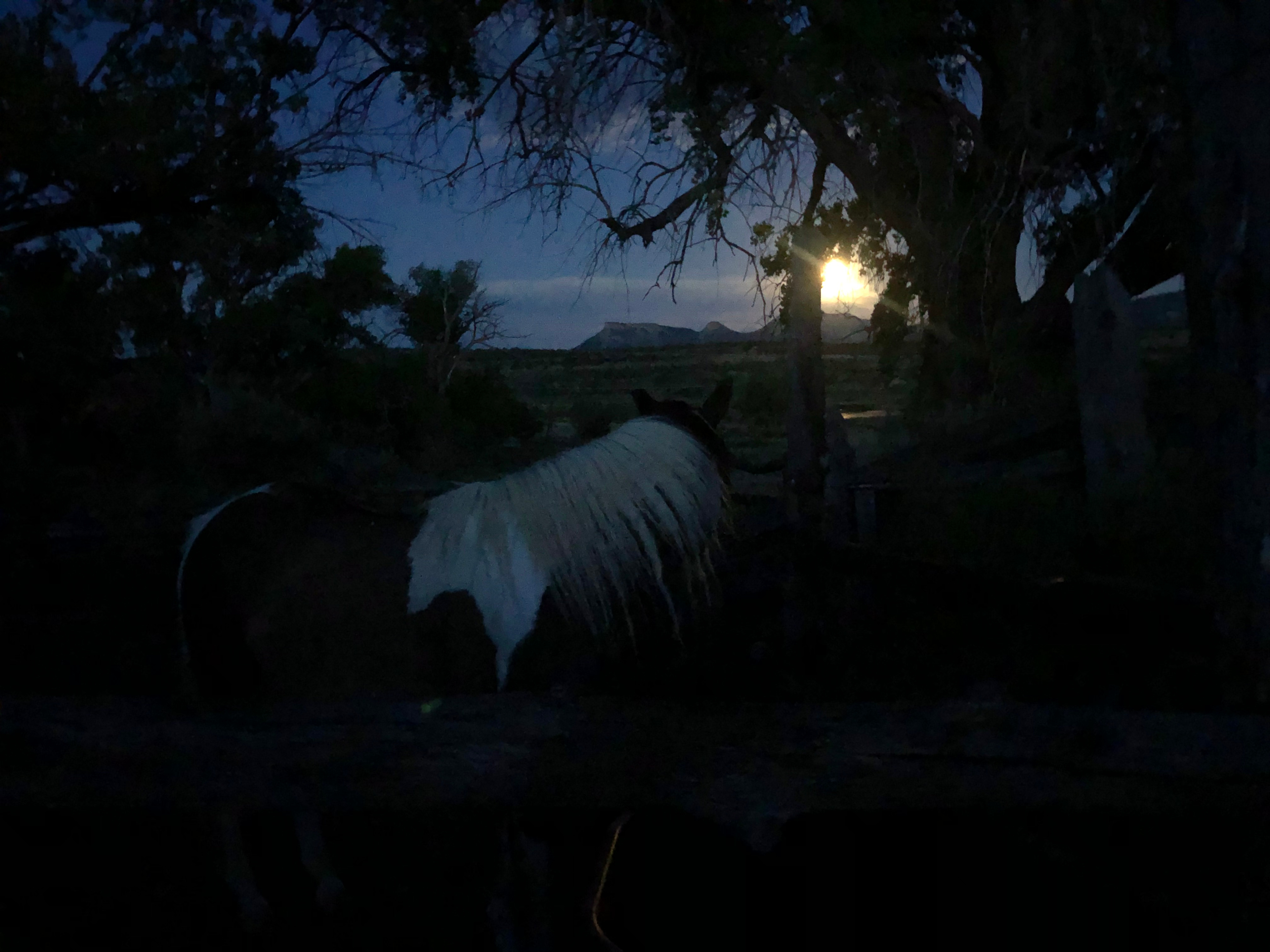 Starlight Ranch