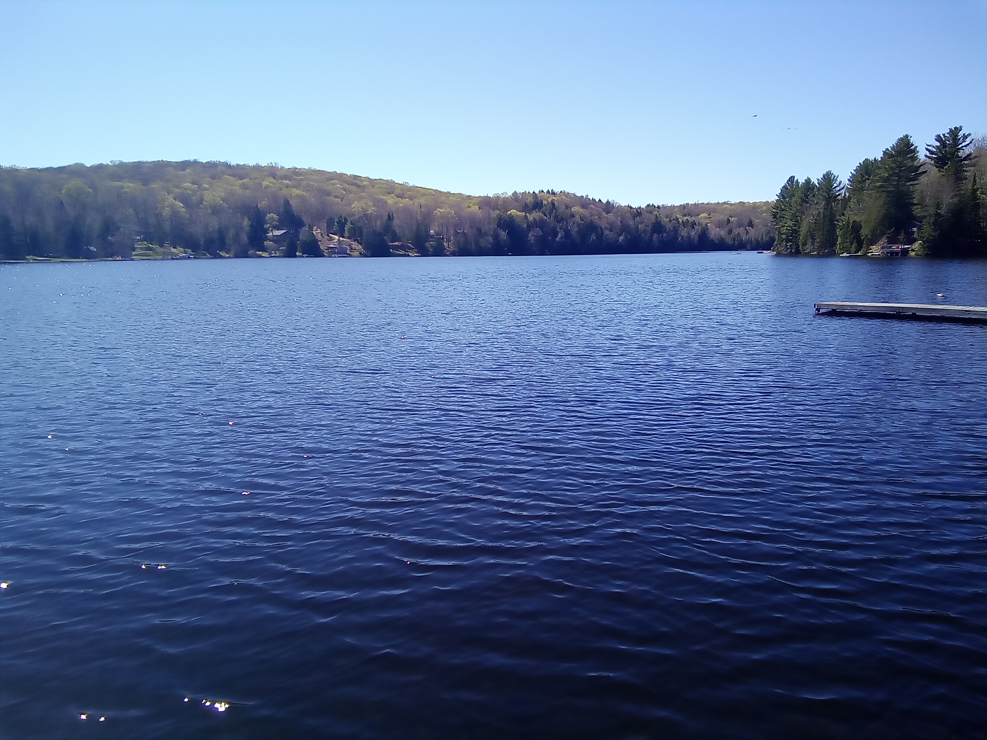 Cynthia's Magical Hideaway