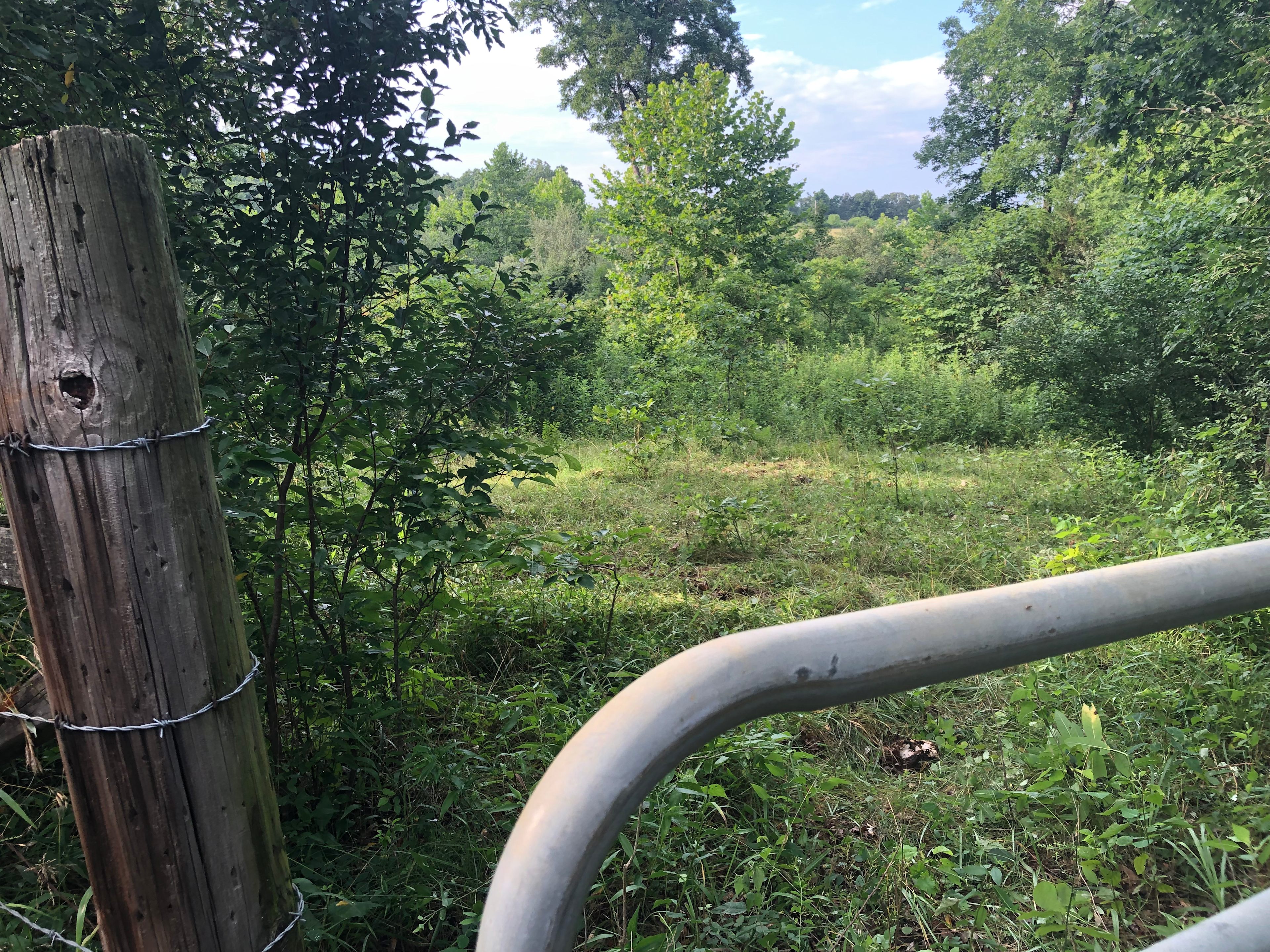 Castor River Pastures