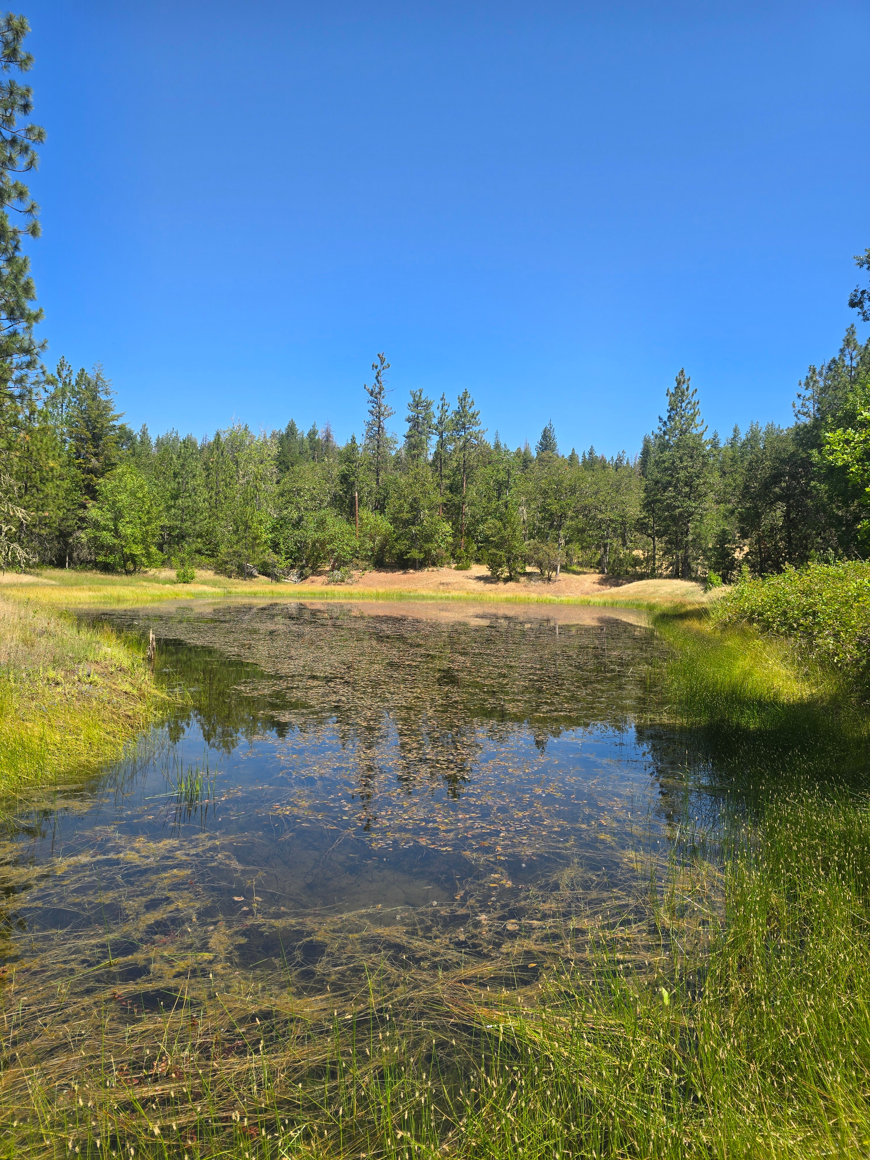 Indian Lake Ranch Adventures