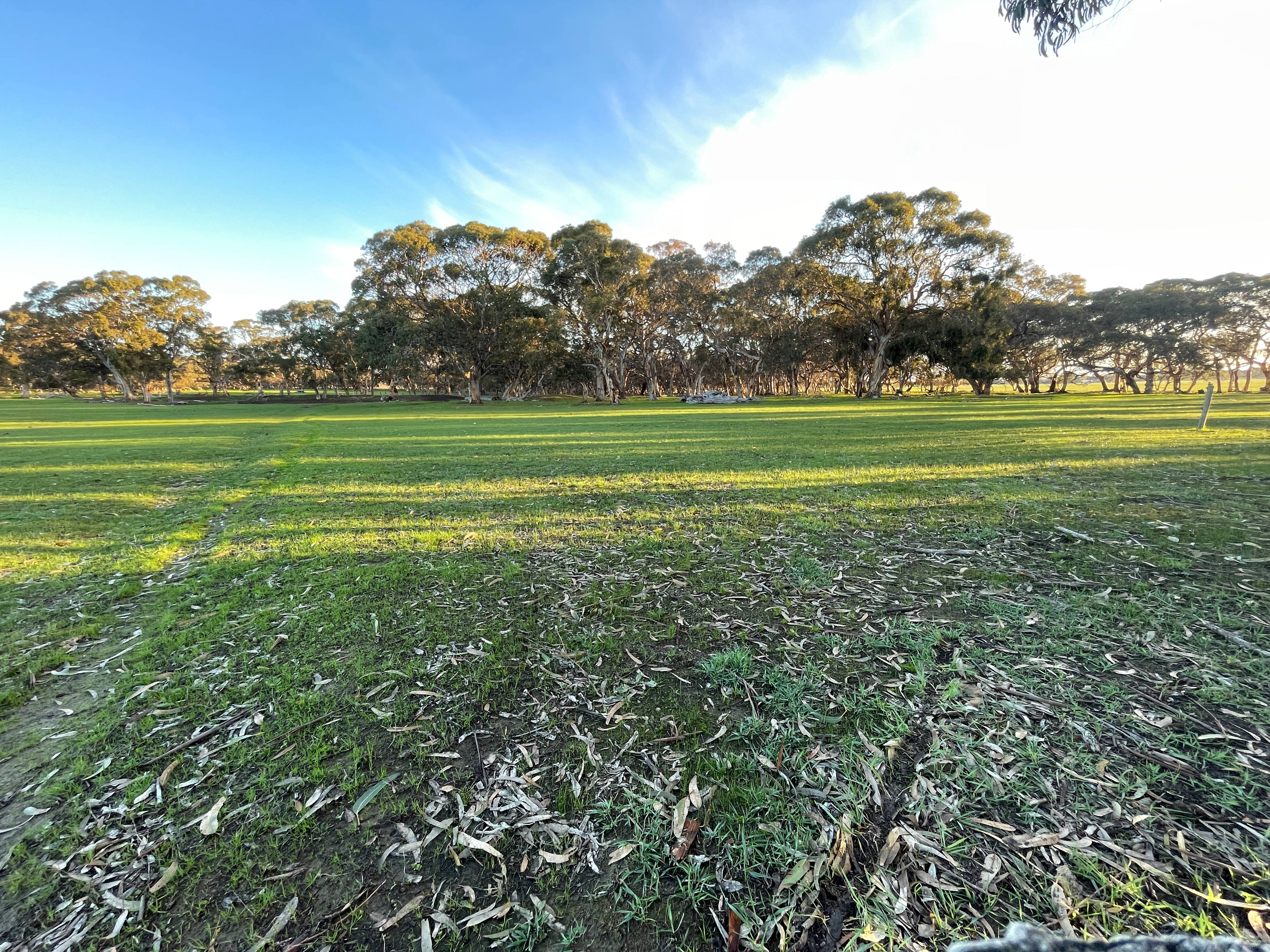 Amberfeld Big Gum Camp