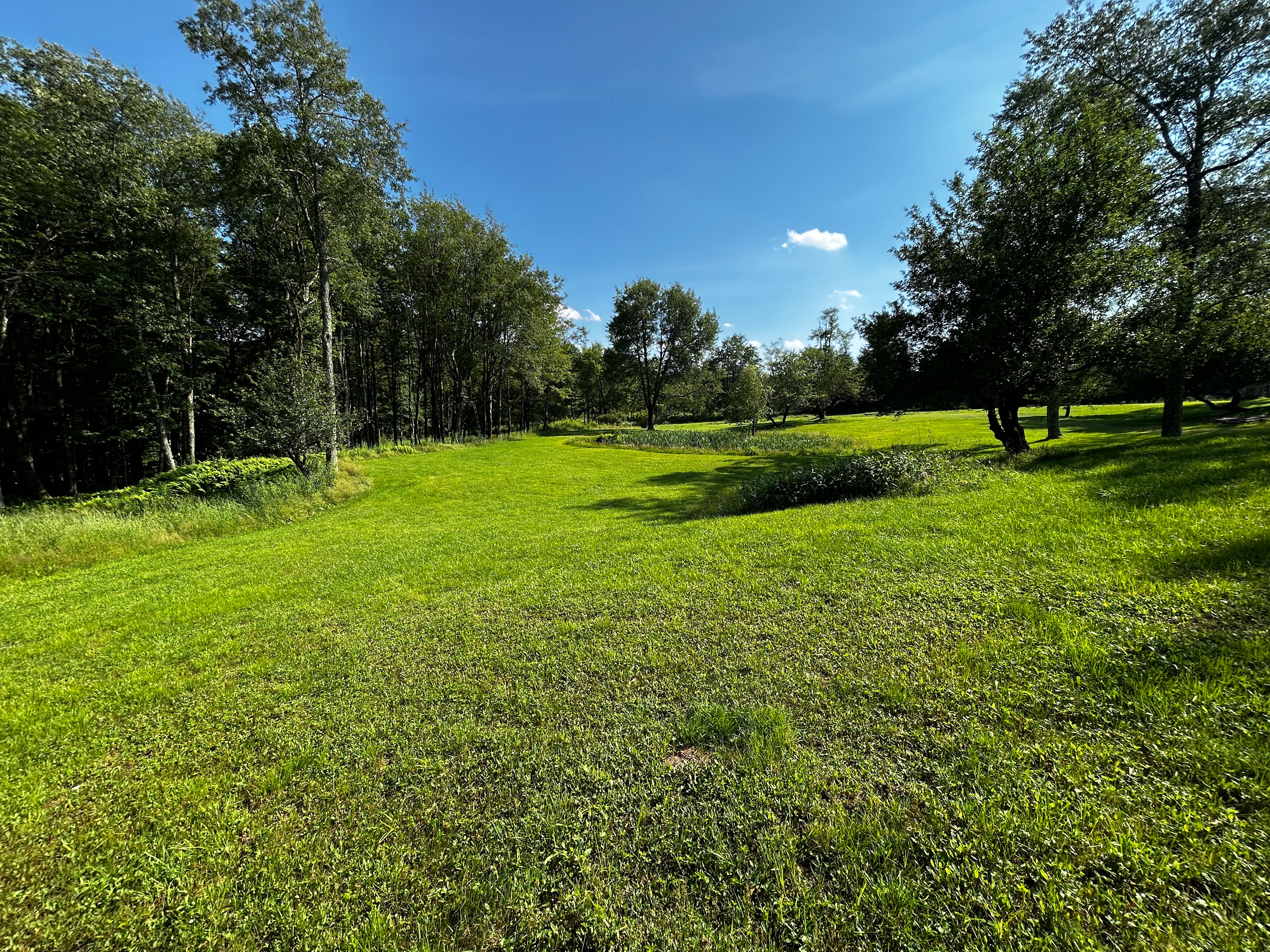 Livingston Manor Catskills Retreat