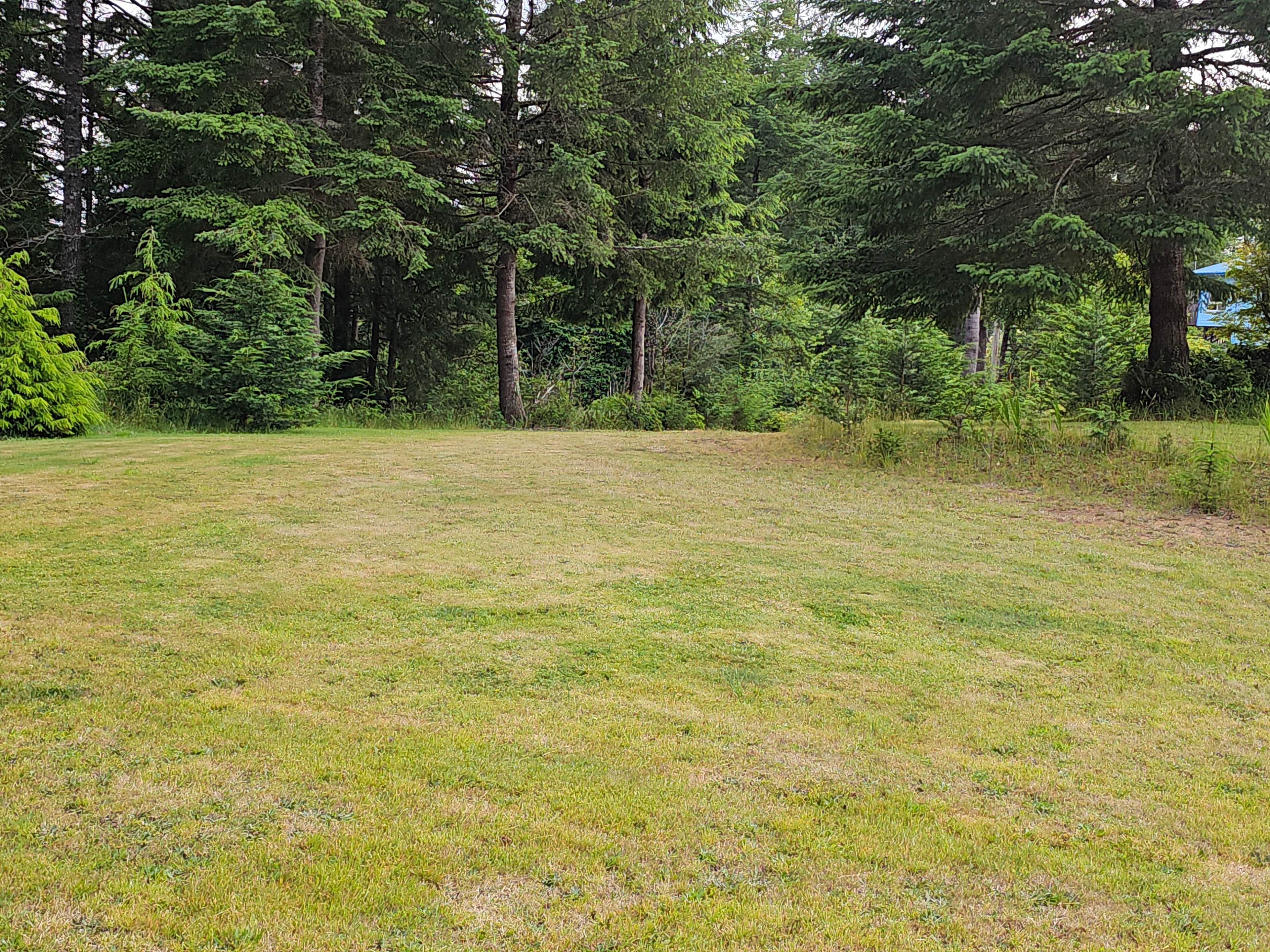 James family country setting