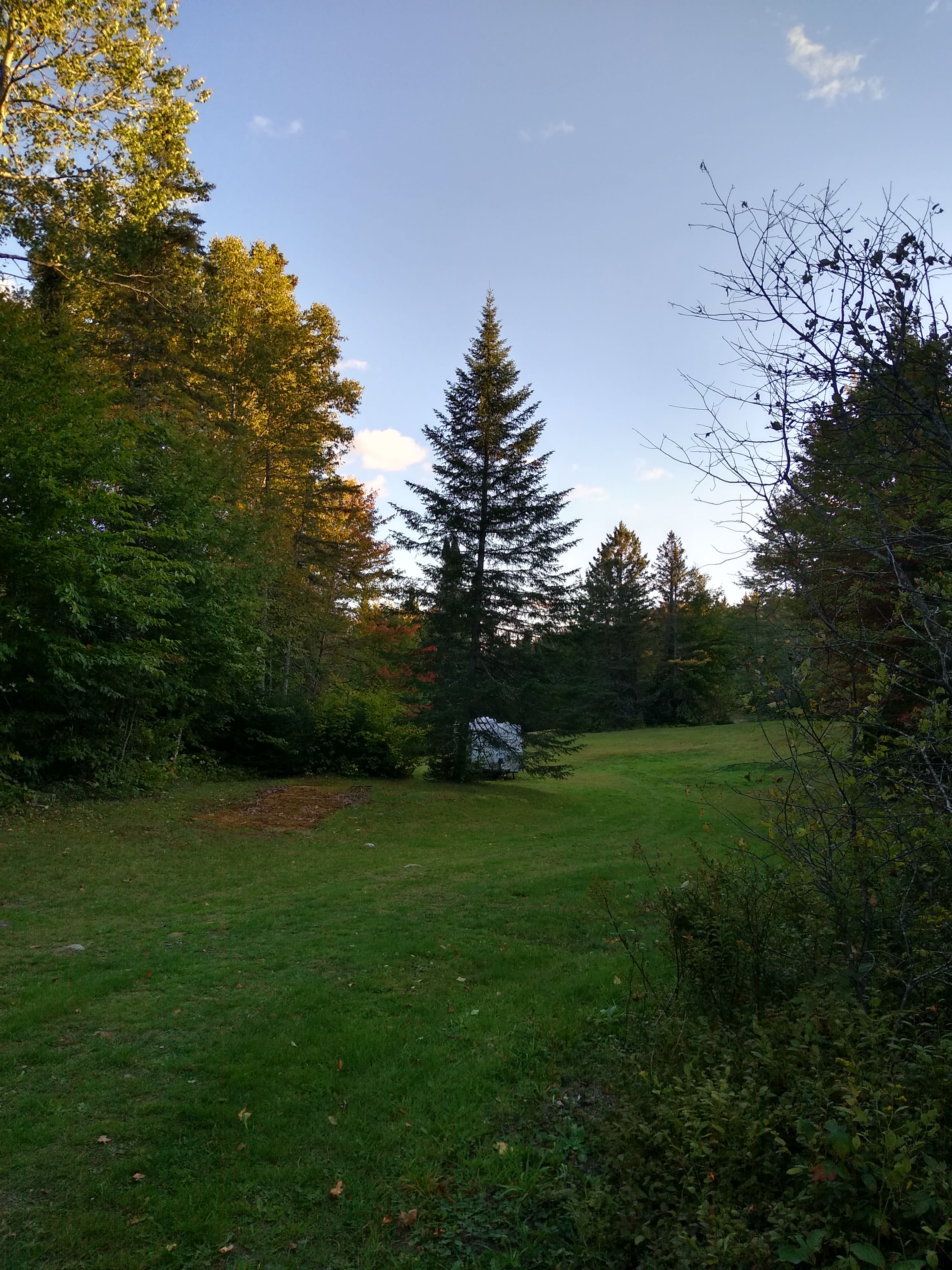 Camper in the woods near swimming