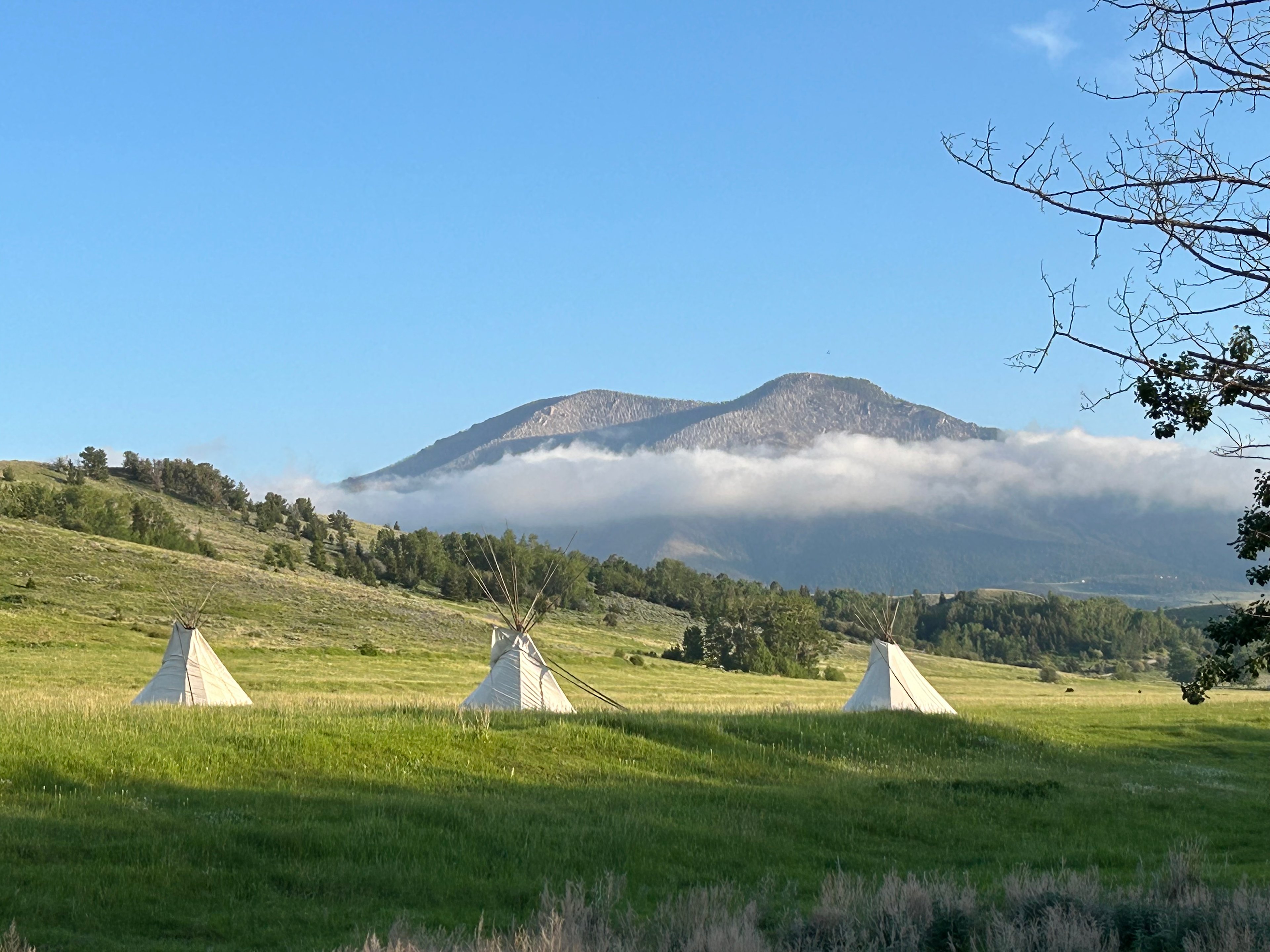 Elk River Camp At Wolfe Meadows