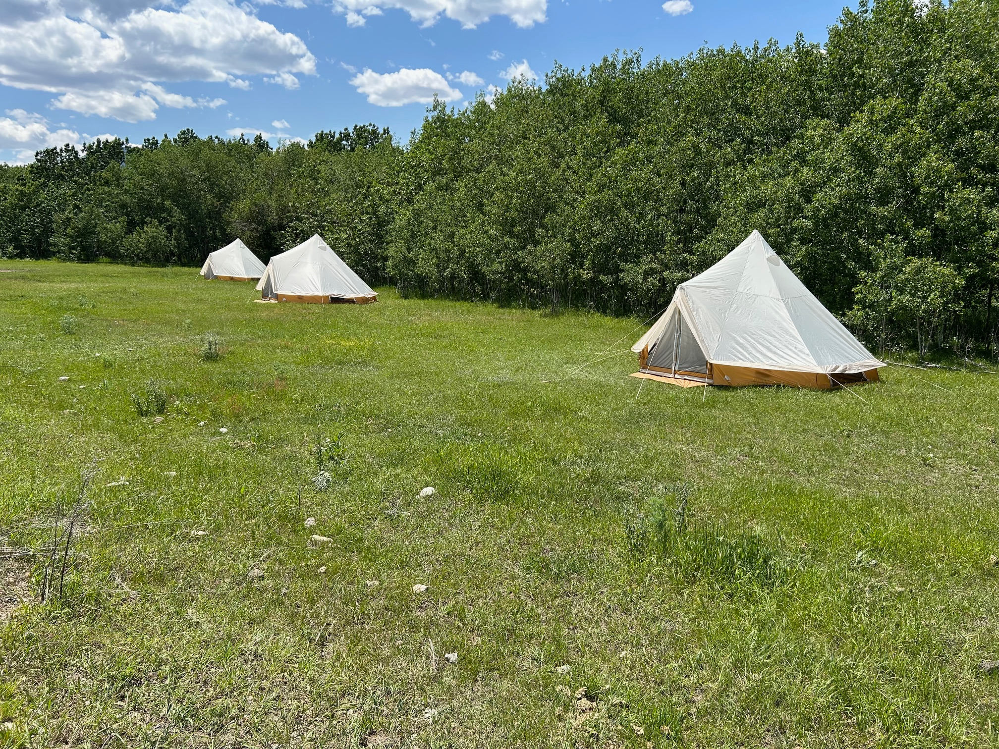 Elk River Camp At Wolfe Meadows