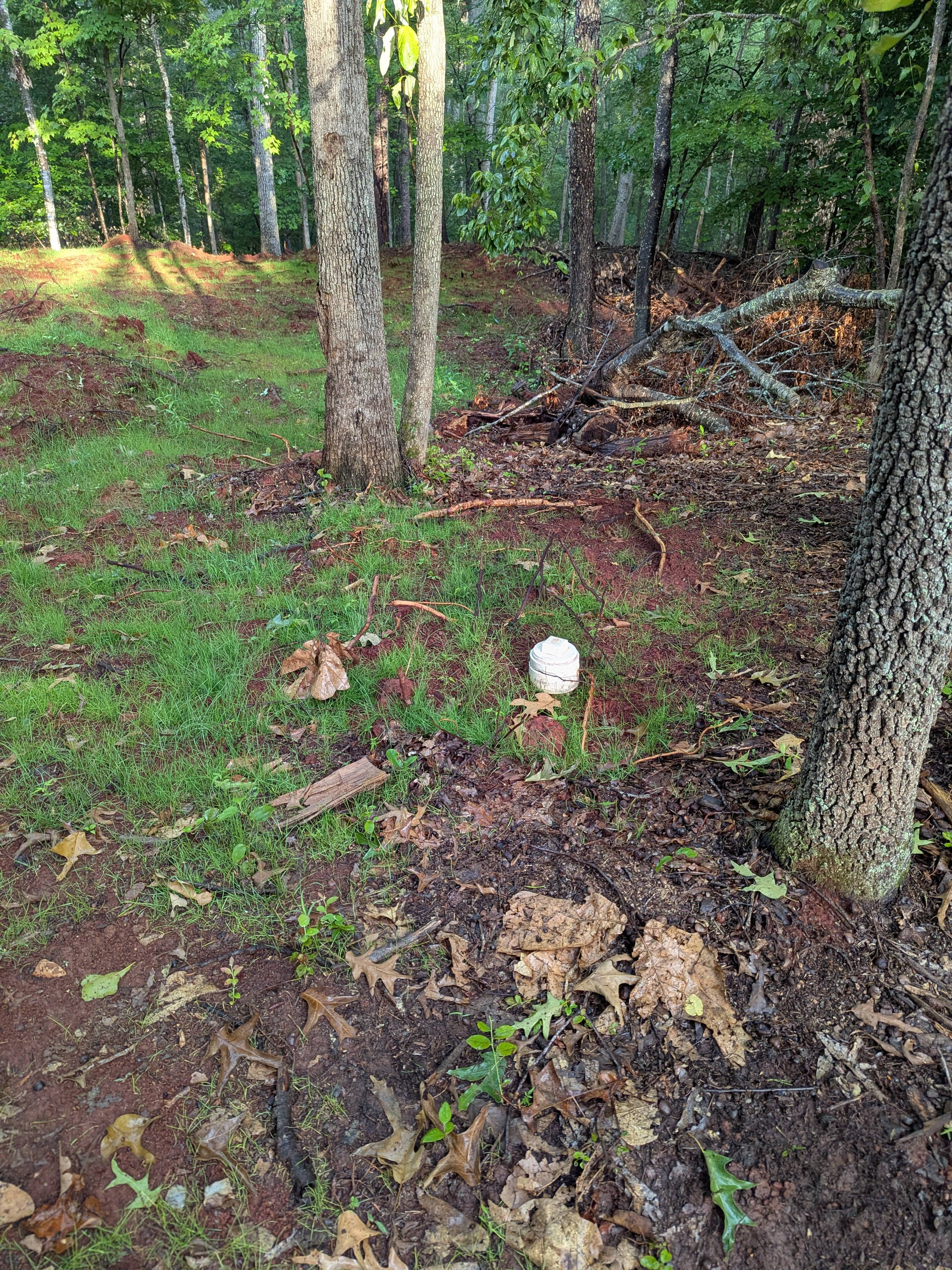 Rockfish Valley Wooded Campsite