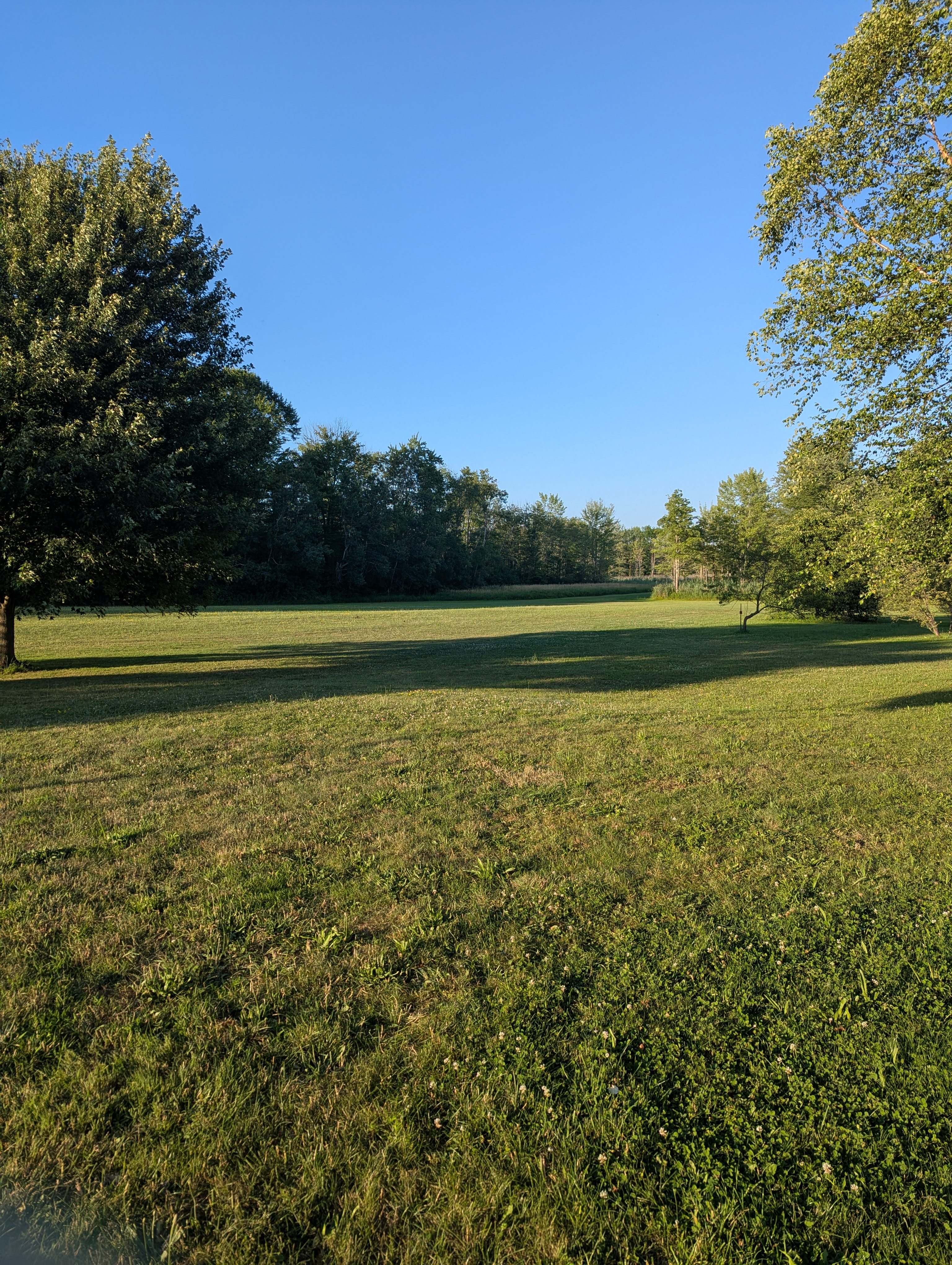 Moonshine Acres