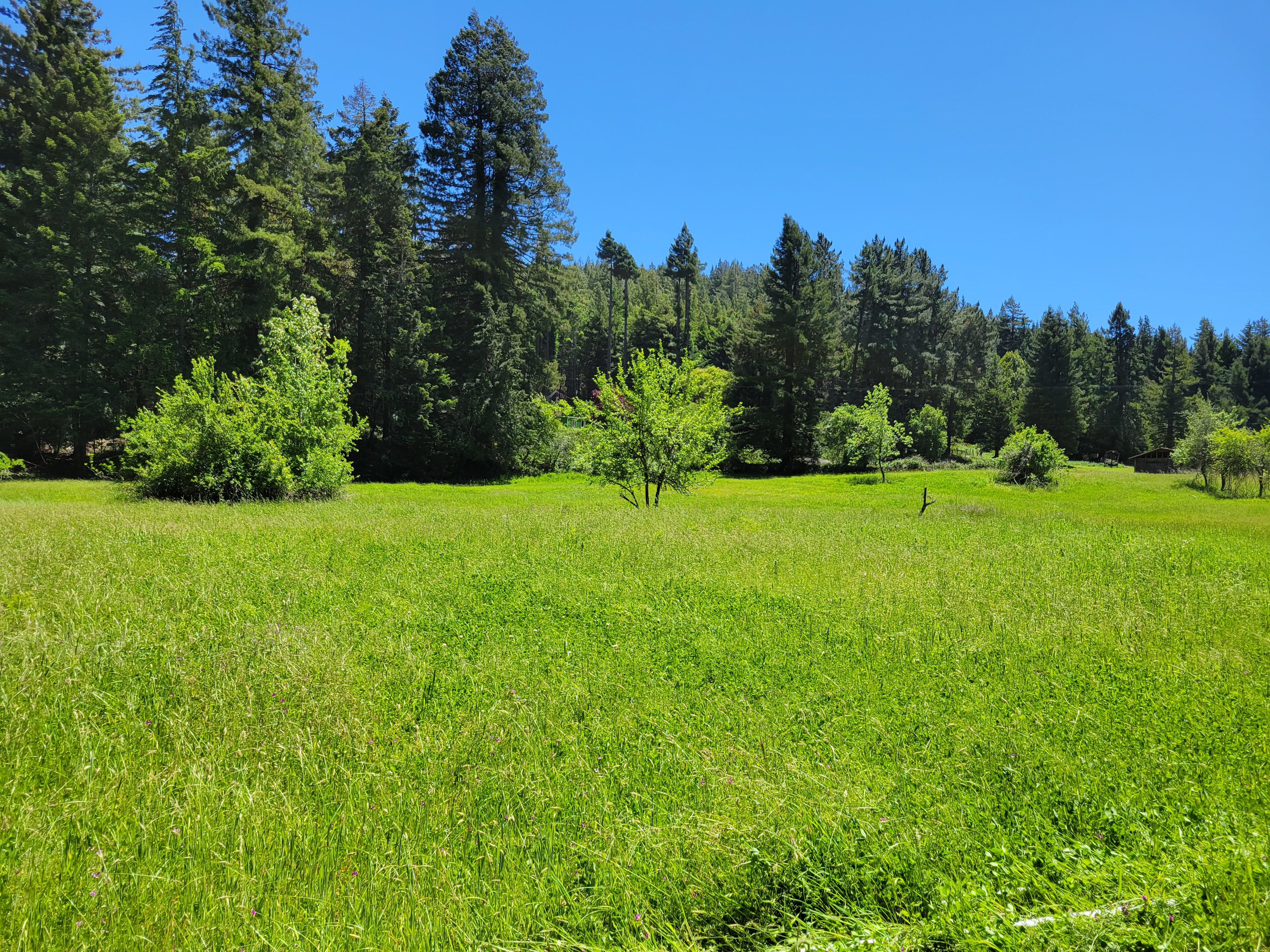 Green Spring Meadows