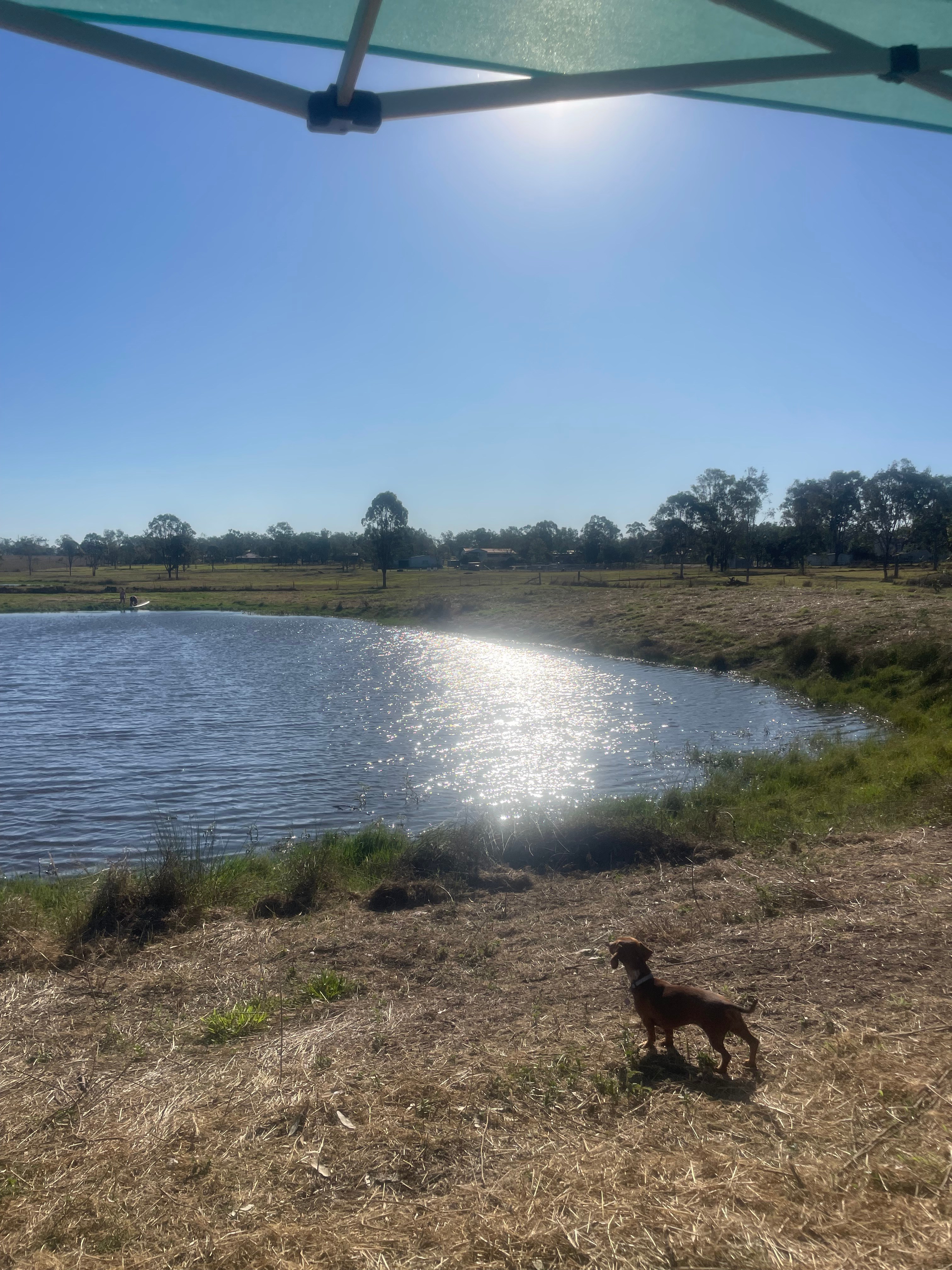 Yellow Rose Ranch