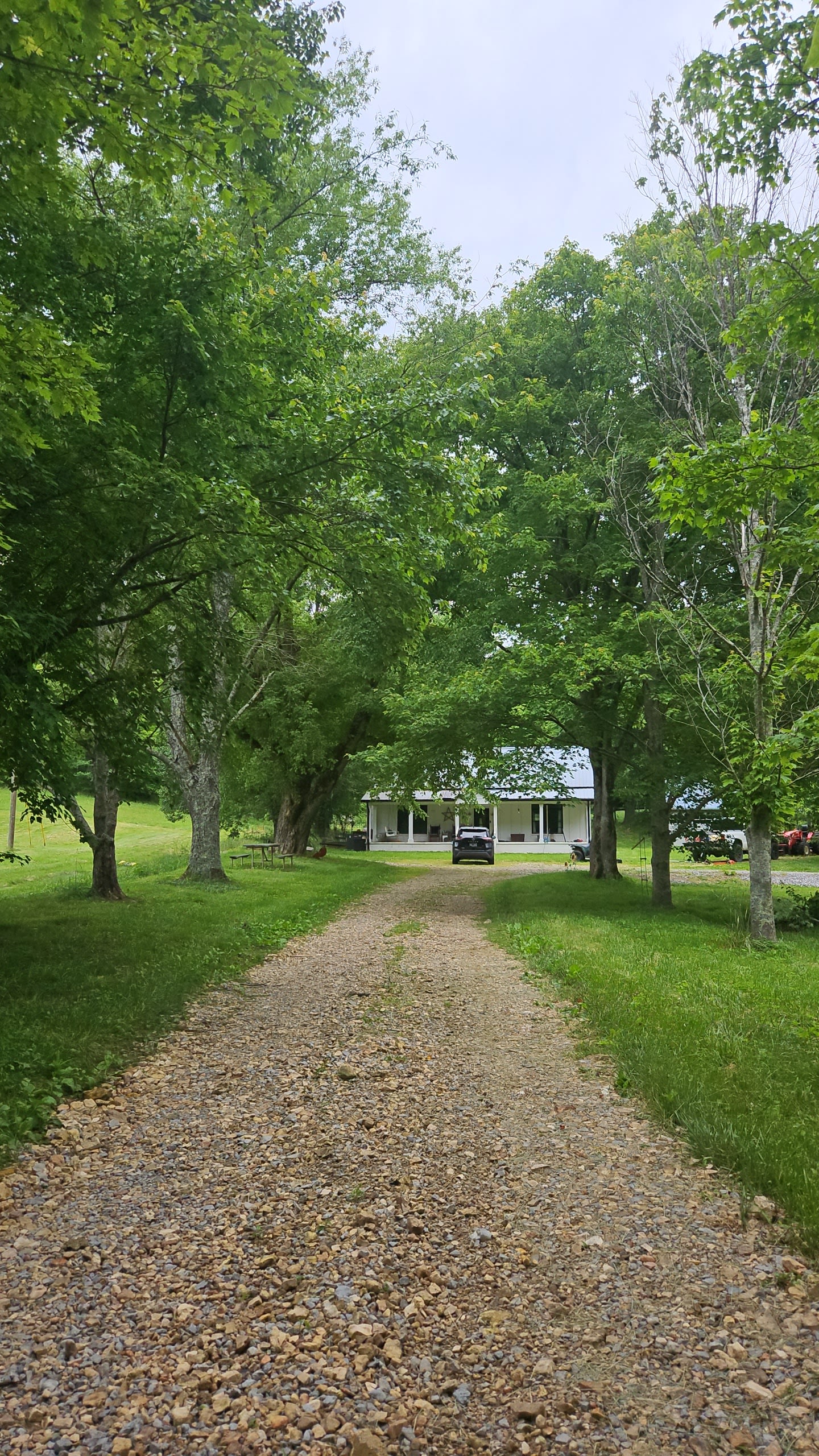 Willow Creek Farms
