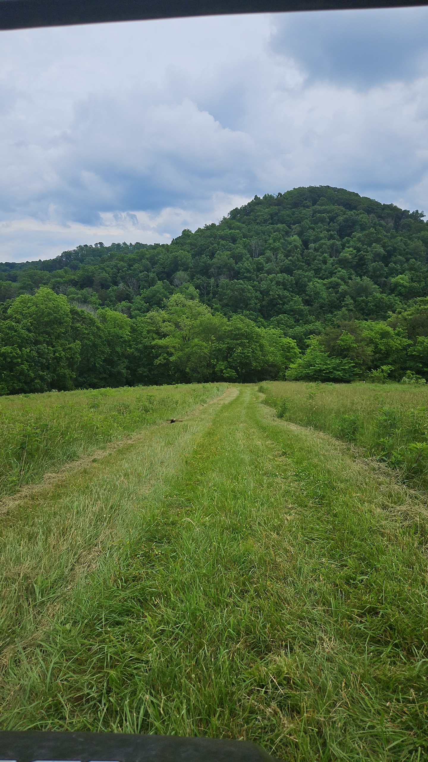 Willow Creek Farms