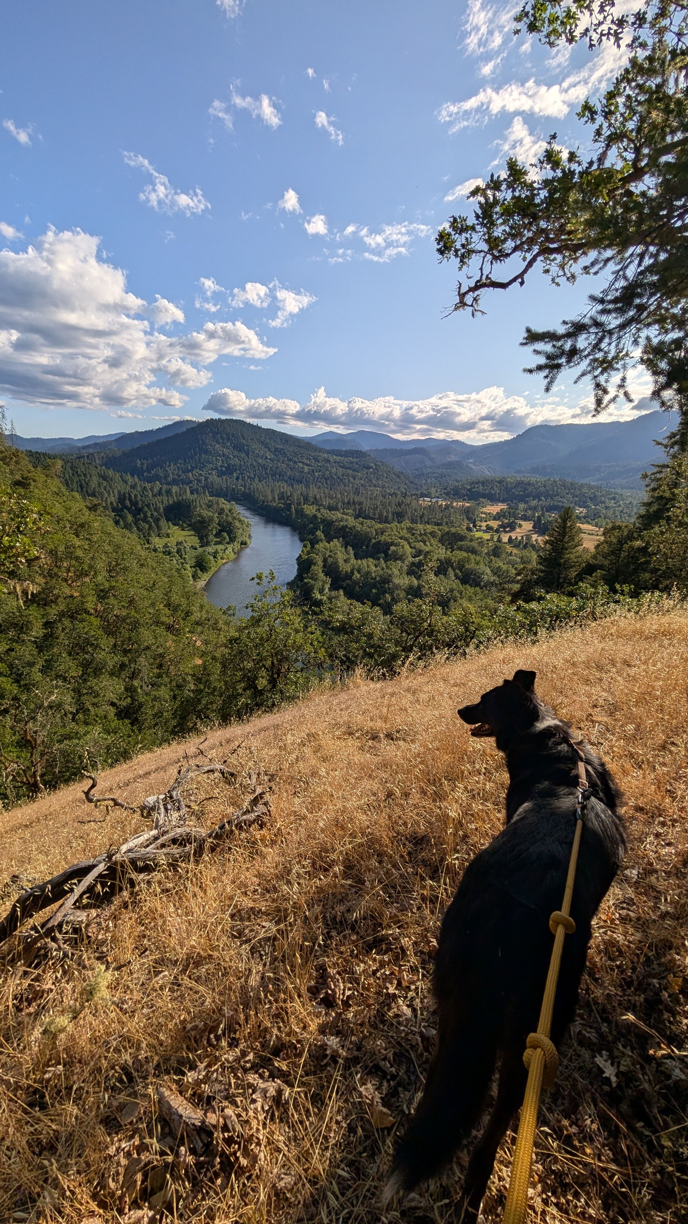 Rogue River Glamping