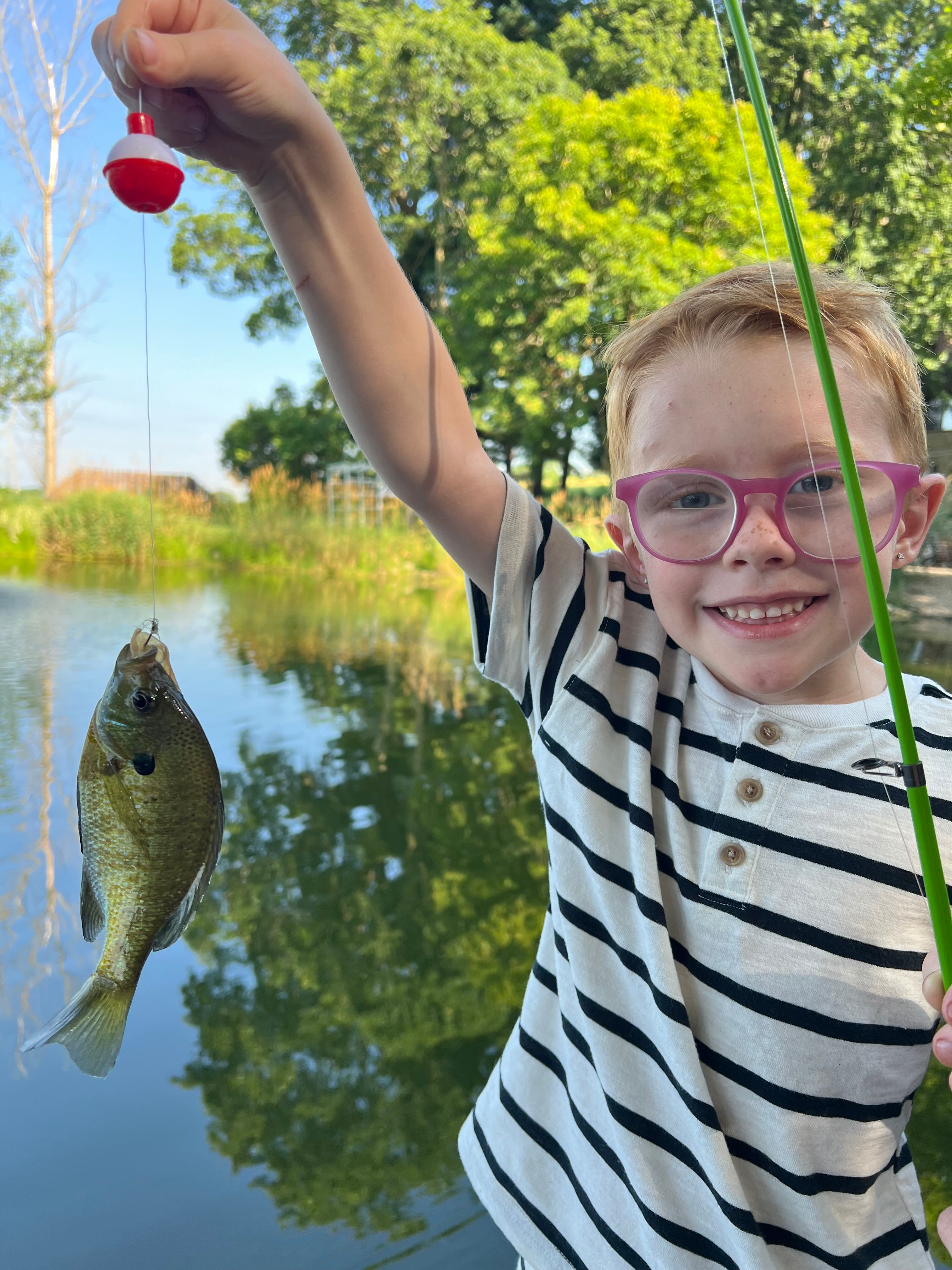 The Camp Cabin at the Hallstead