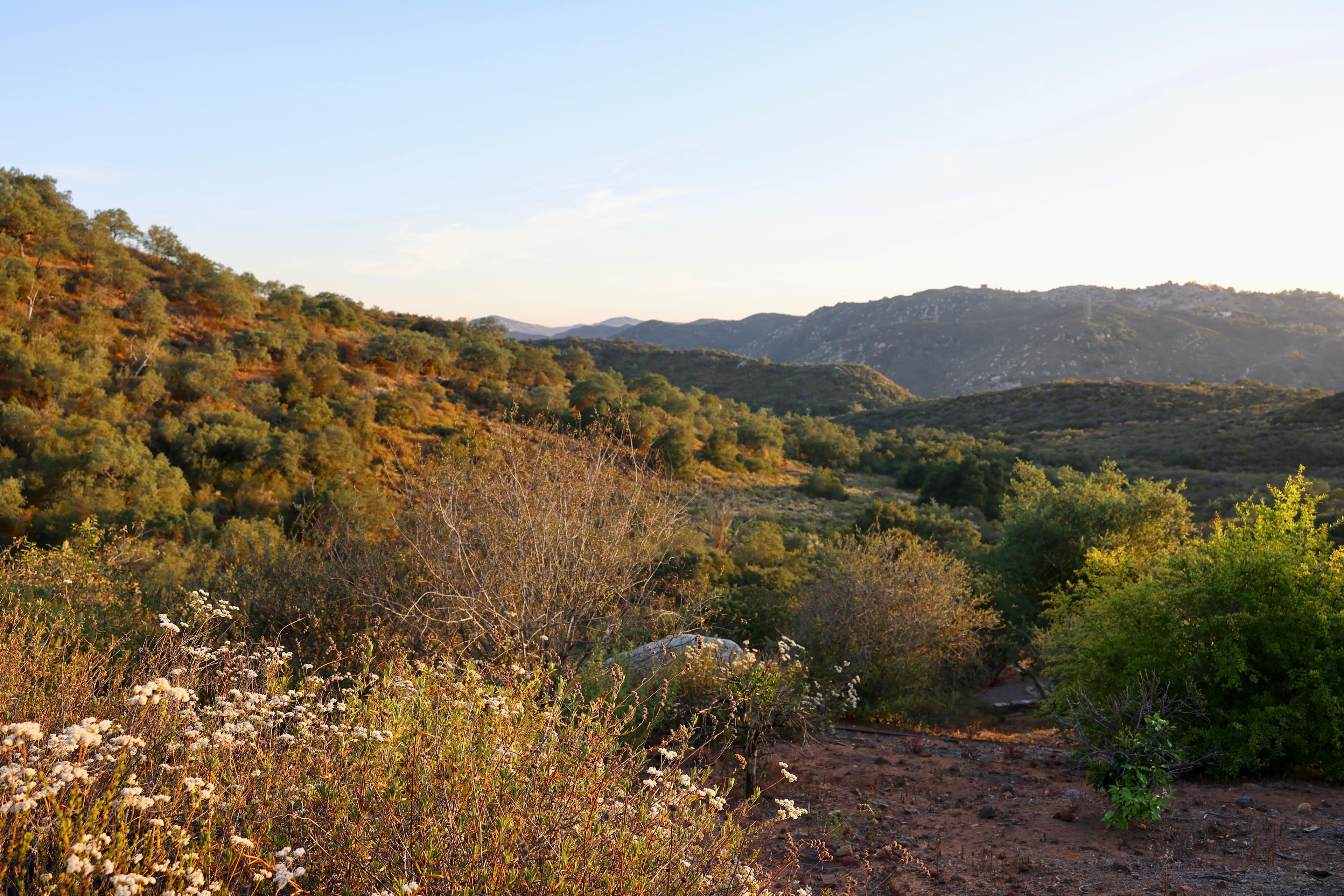 Serene private mountain views from your campsite