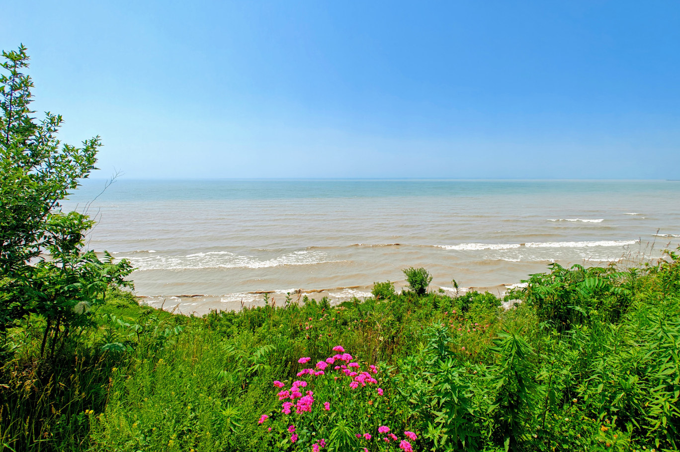 Our property overlooks a 2km stretch of pristine clay and sandy Bluffs towering above Lake Erie surrounded by unique Costal Carolinian forests