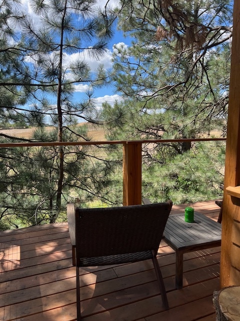 Secluded TimberframeTree House