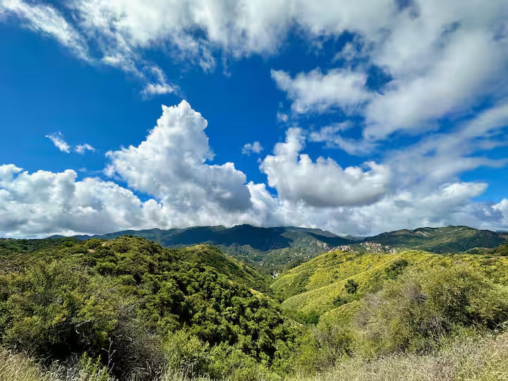 Topanga Cabins