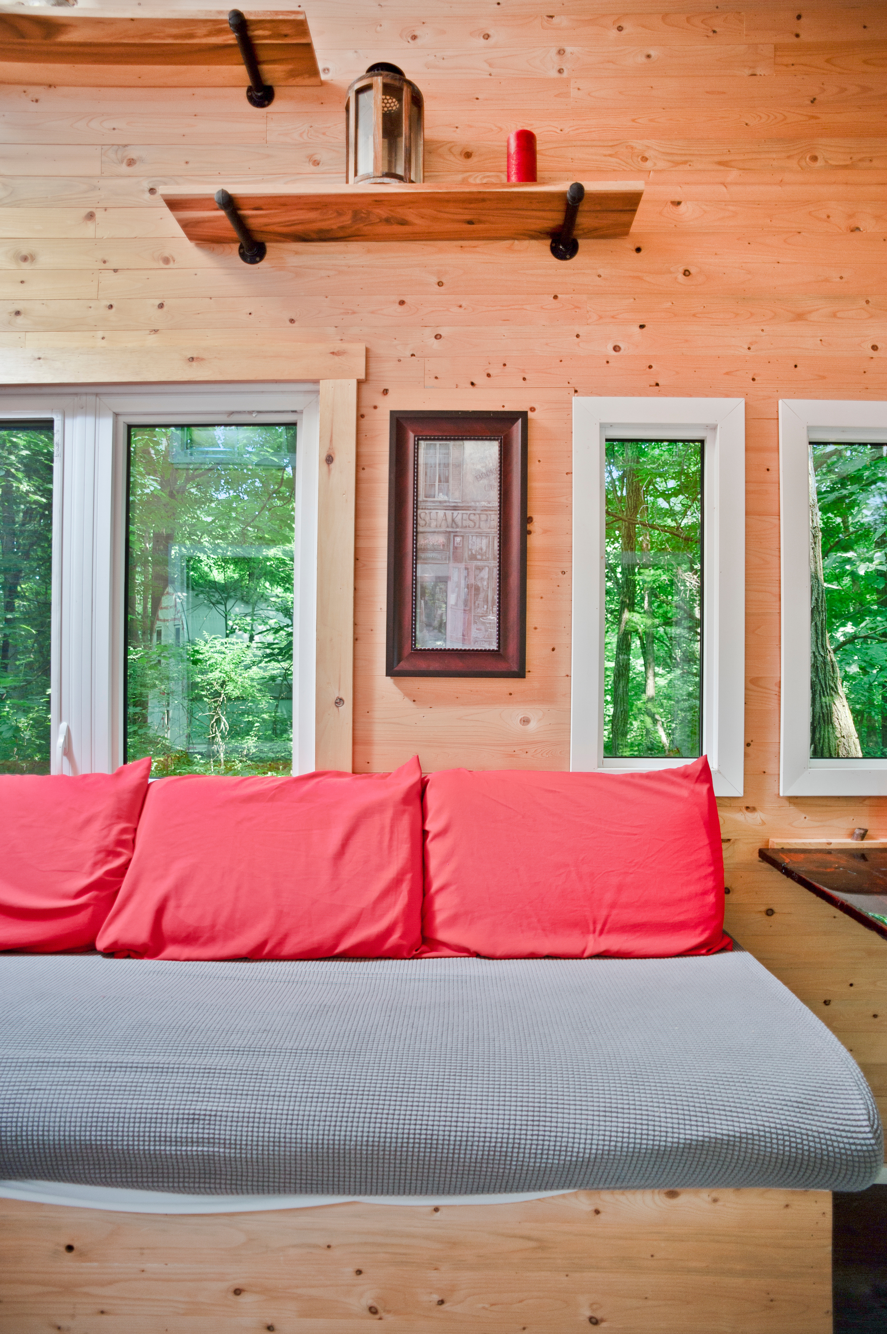 Tiny House Surrounded by Forest
