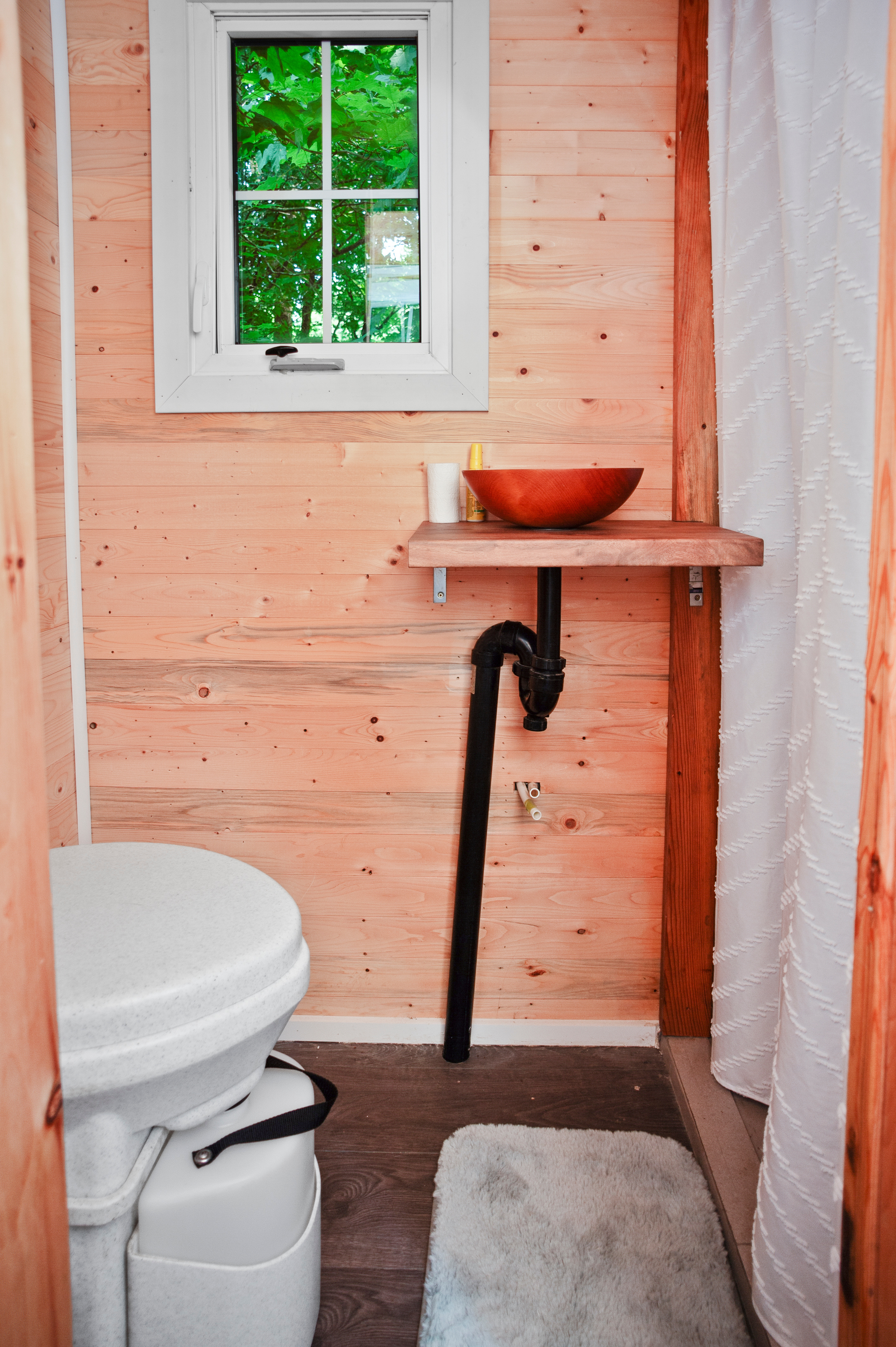 Tiny House Surrounded by Forest