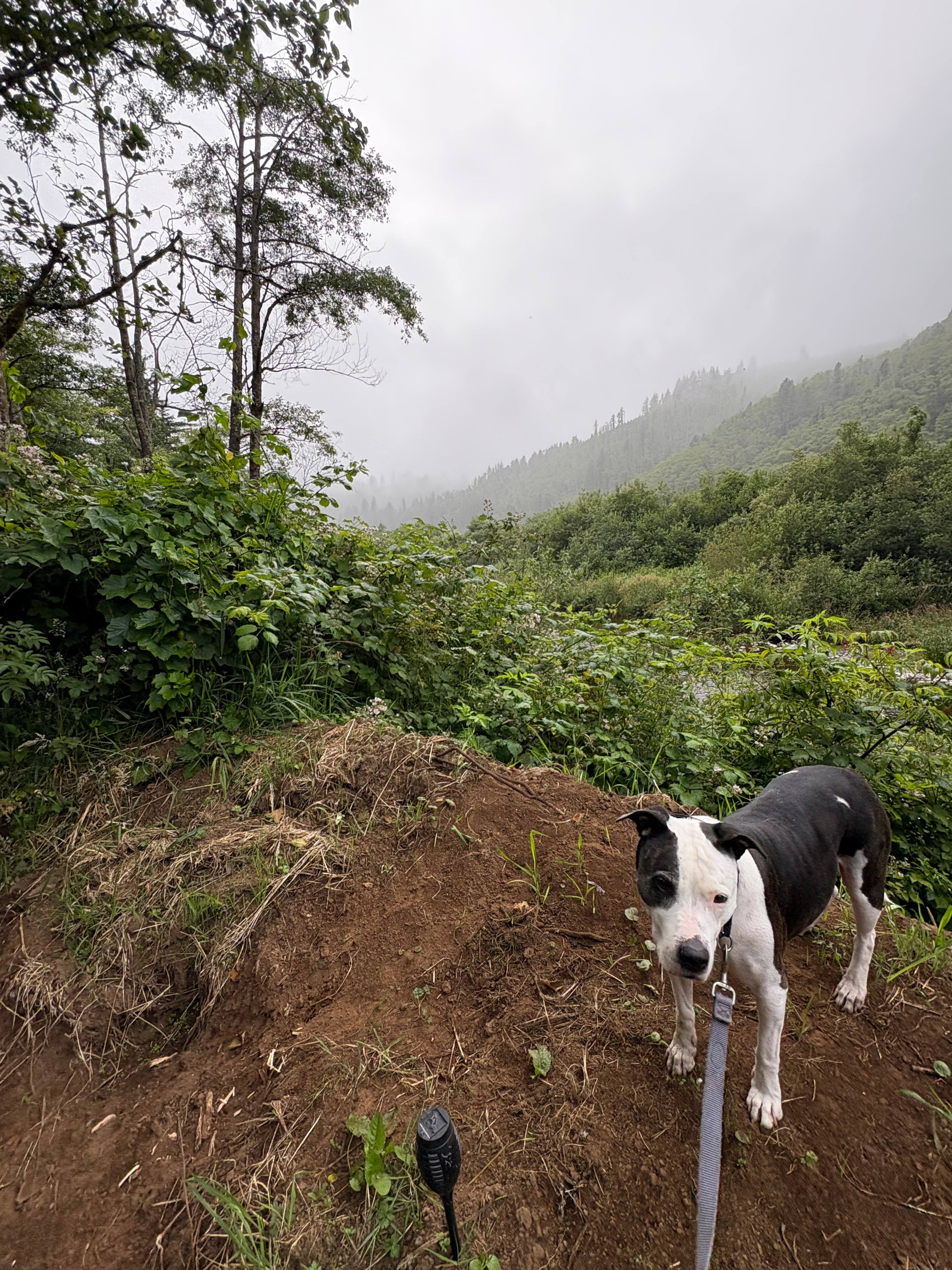 Kilchis River Retreat