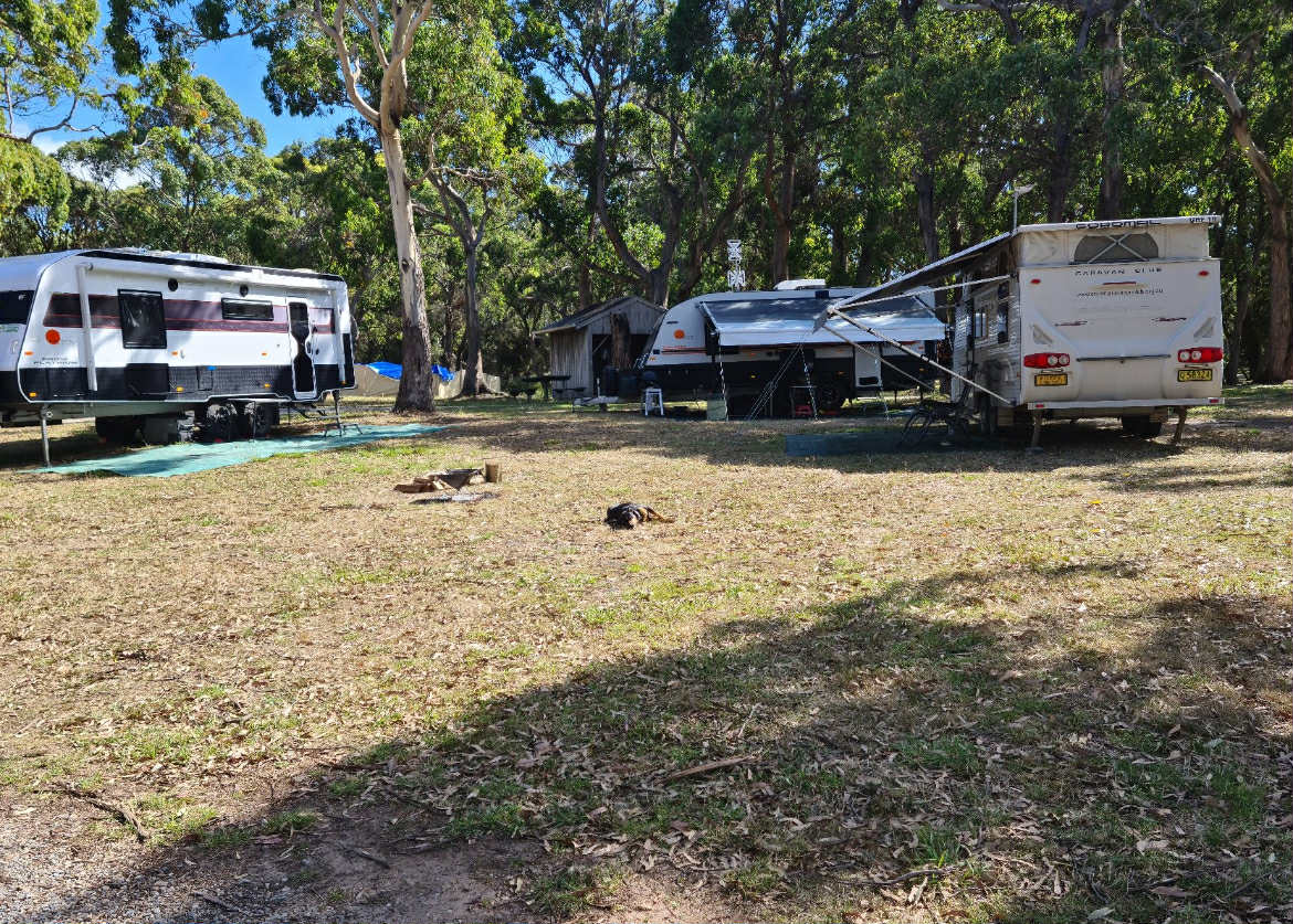 Montagu Park Campground