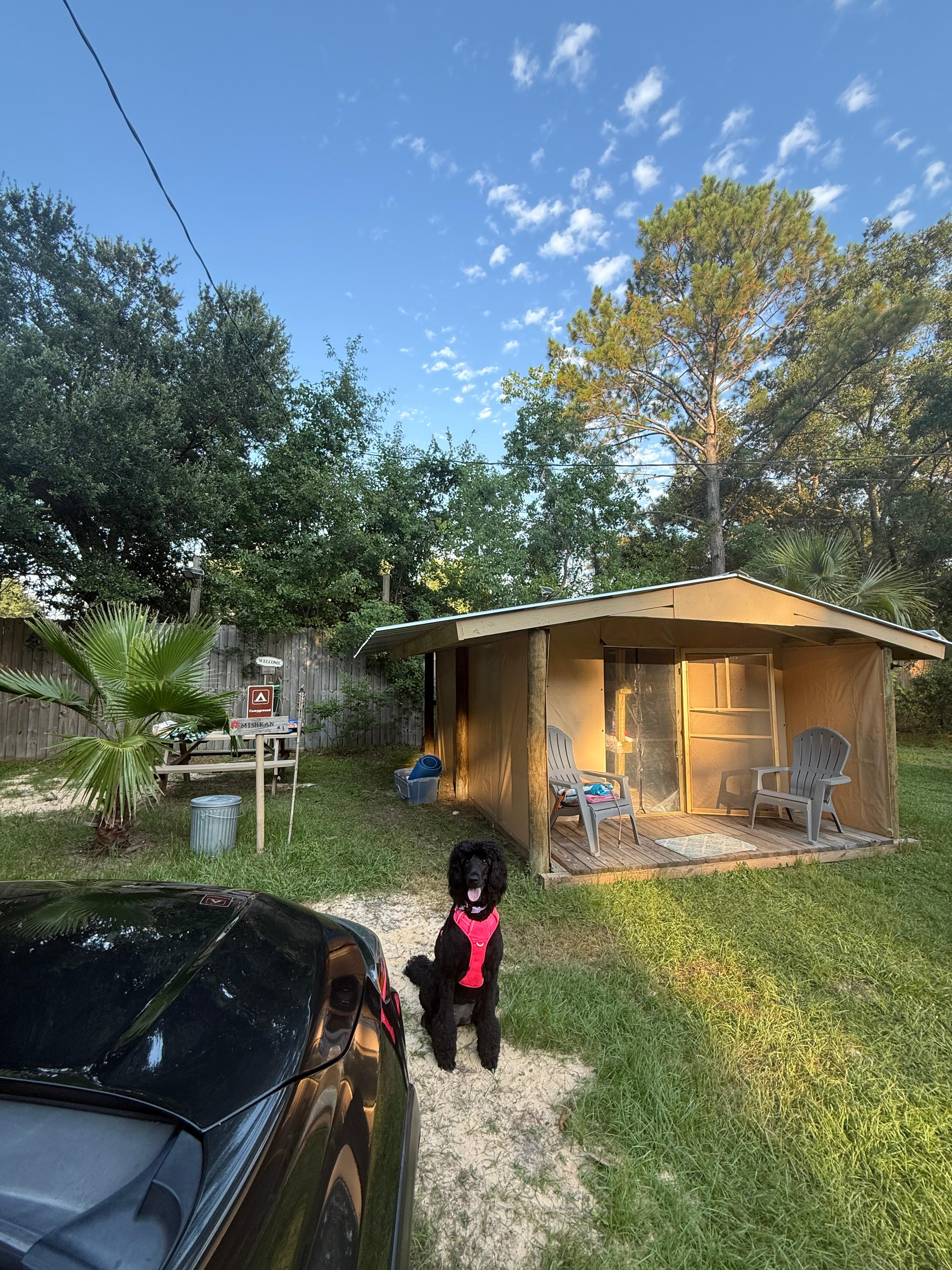 Malakai 🏕 different by design