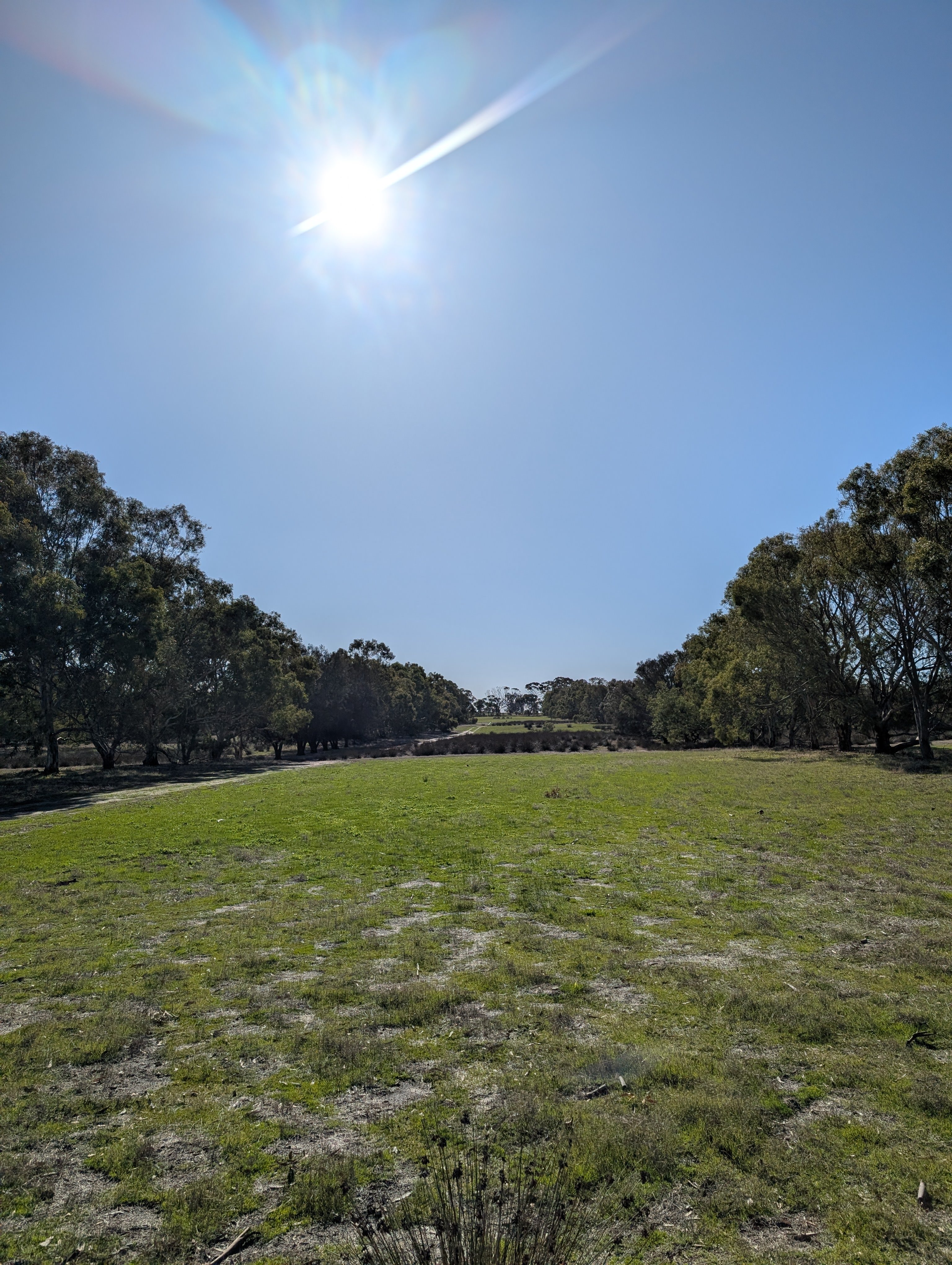 Dale Farm Camp
