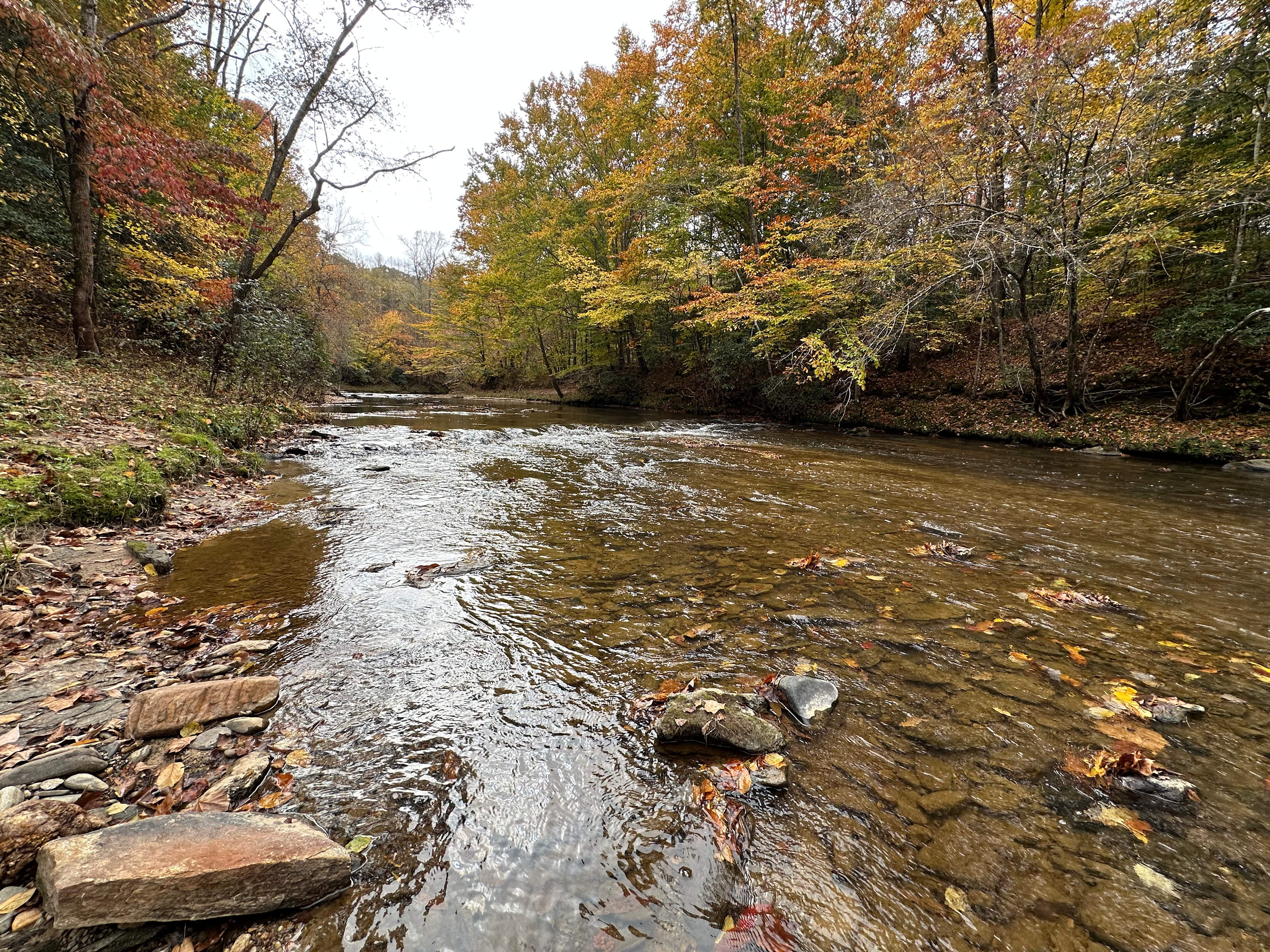 Ramble on Big Creek near HRSP