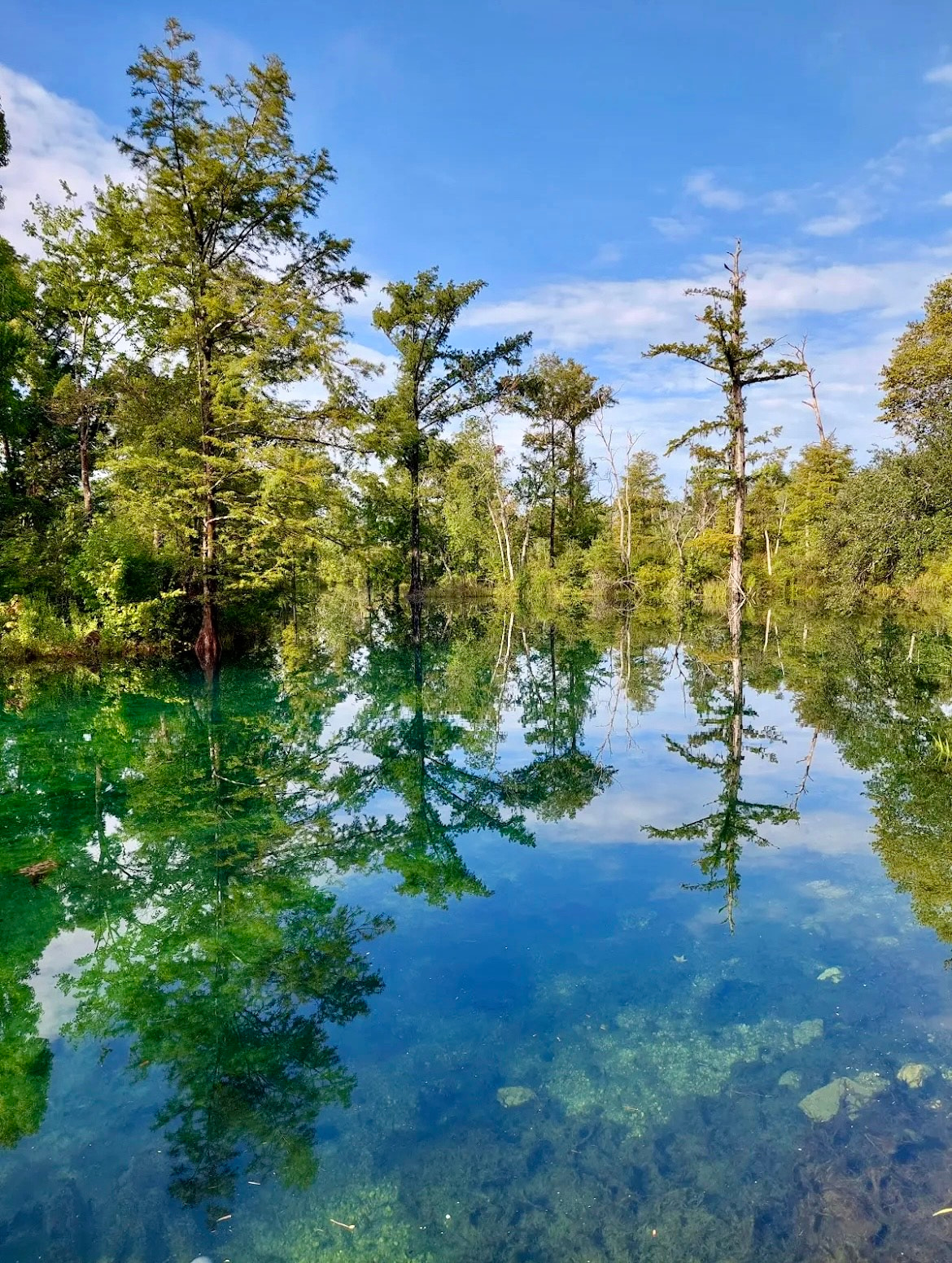Blue Springs. Located half a mile from your campsite.