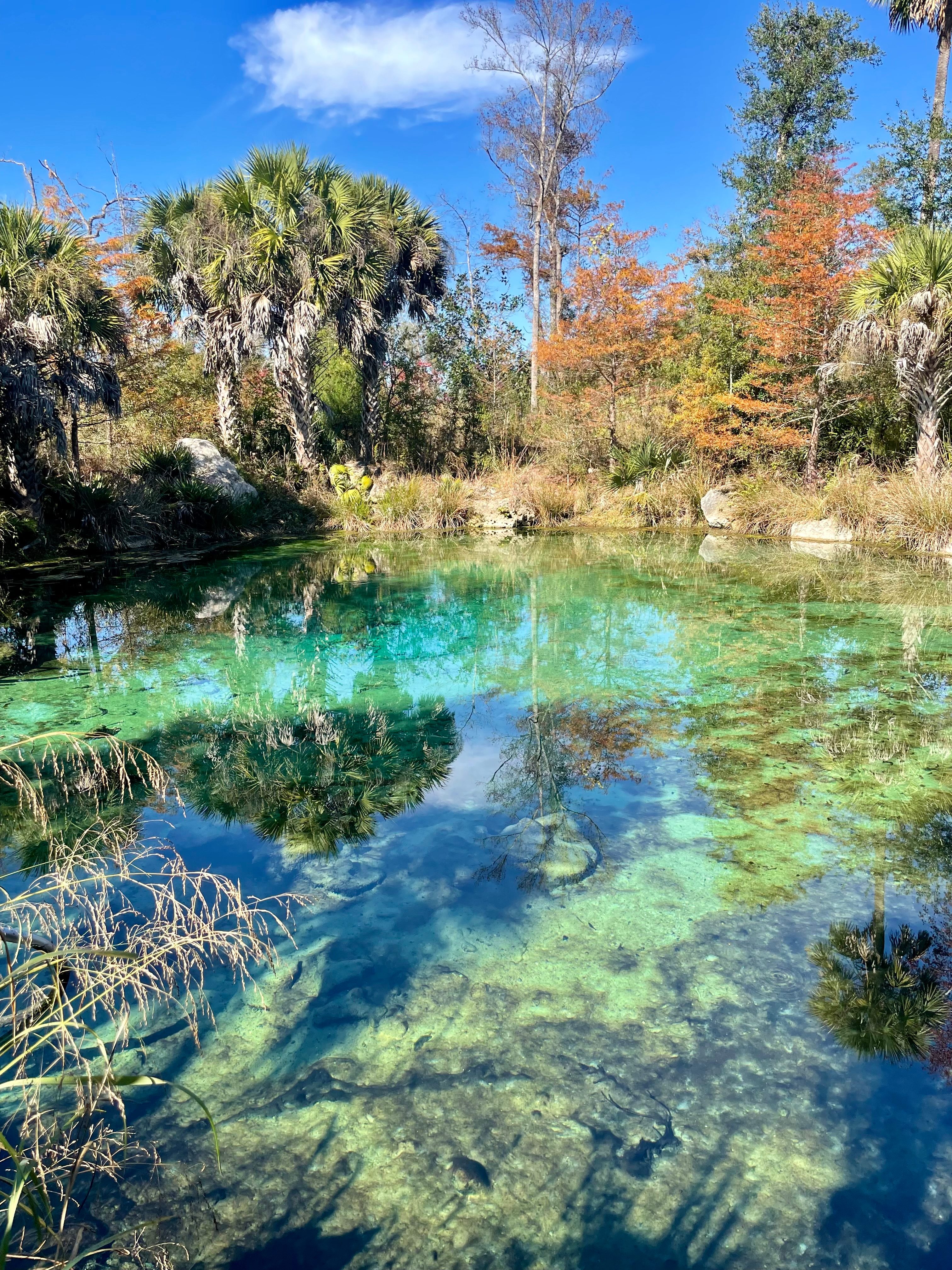 Pitt Spring. Located 2 miles from your campsite.