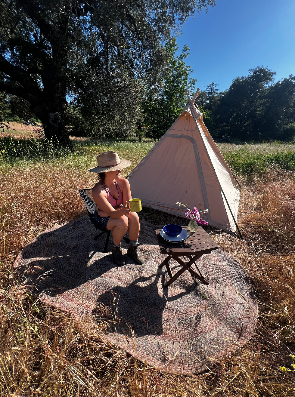 Private Meadow Retreat Near Julian