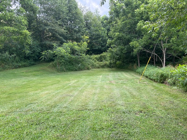 Campers can place their tent anywhere in this area.  Gently sloping, afternoon shade.